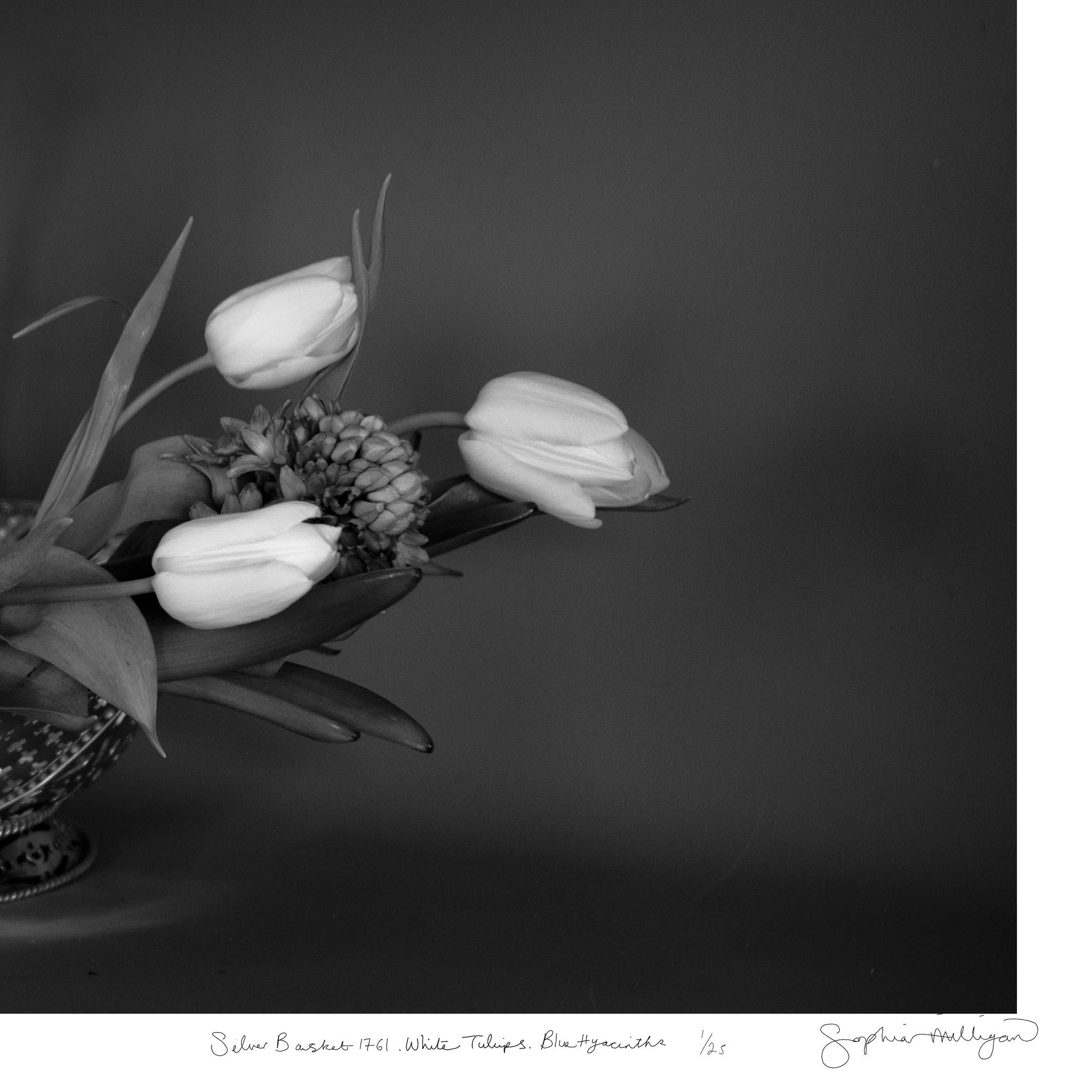 Silberkorb, weiße Tulpen, limitierte Auflage. Minimalistisches Stillleben  im Angebot 1