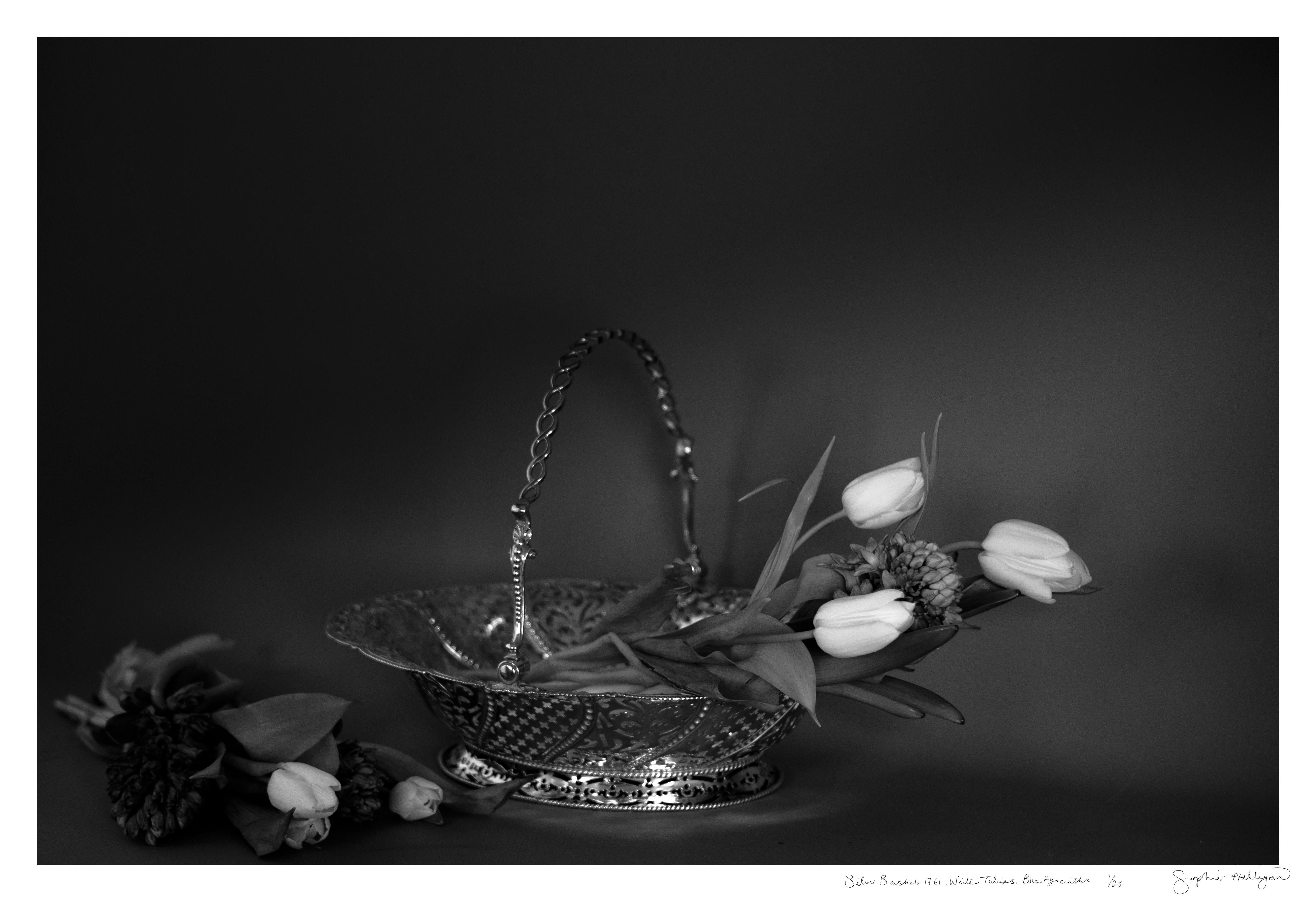 « Corbeille en argent, tulipes blanches », photographie en édition limitée. Nature morte minimale 