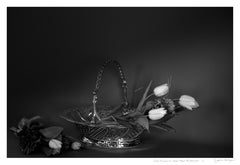 'Silver basket, White Tulips' Limited Edition Photograph. Minimal Still Life 