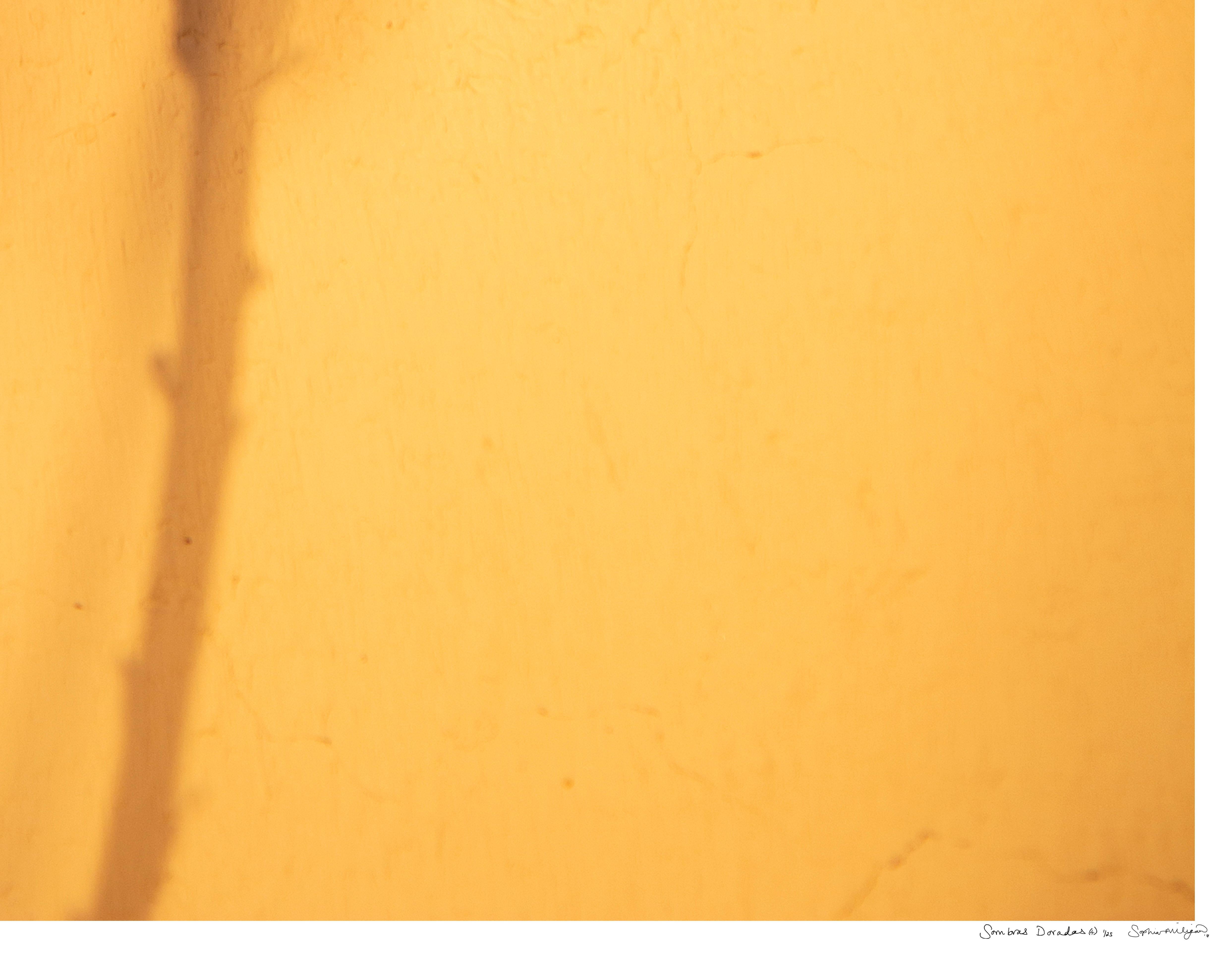 'Sombras Doradas (4)' Large Scale Photo, Desert Silhouette Sunset Yellow Gold For Sale 1