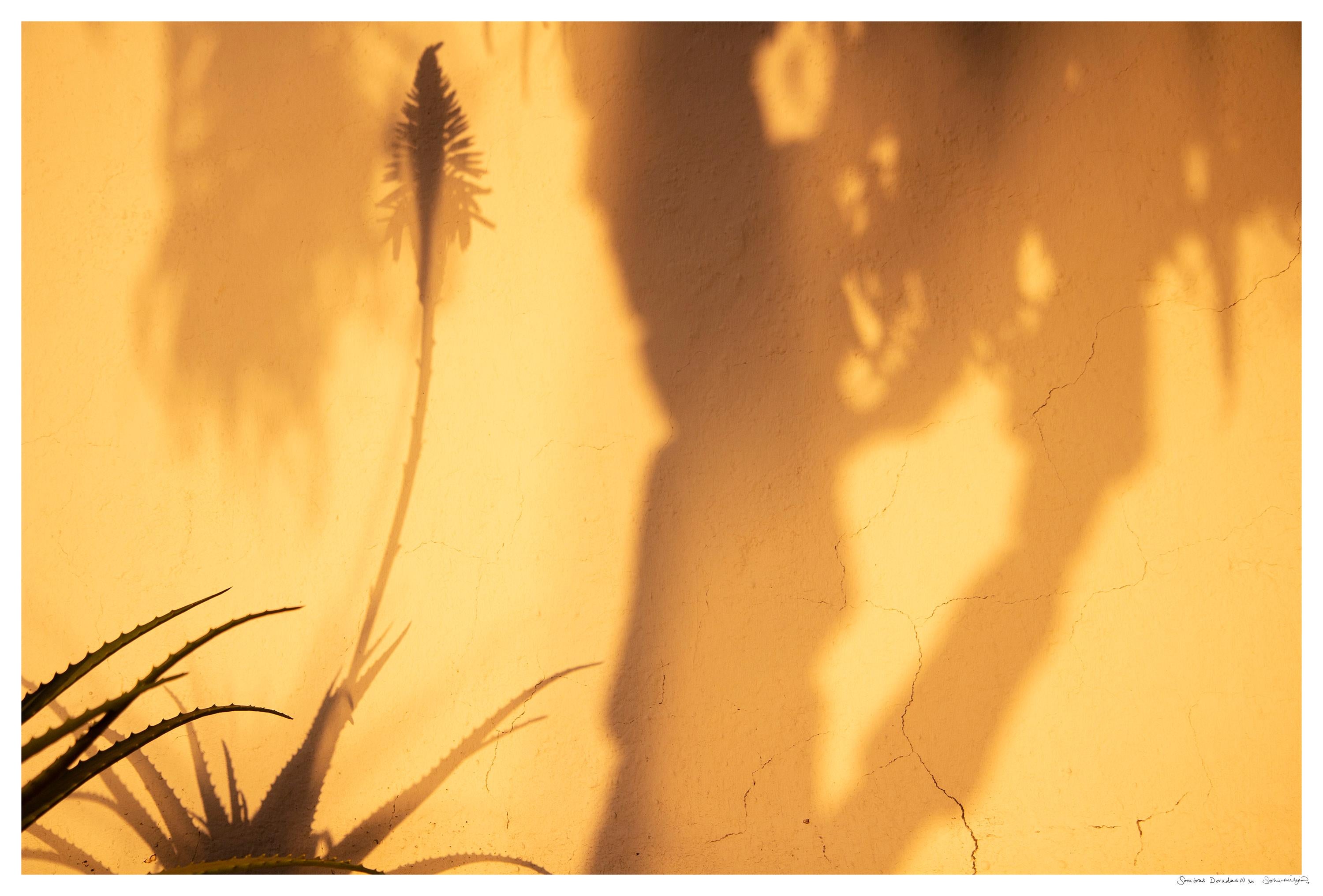 Photo à grande échelle 'Sombras Doradas (5)', Silhouette du désert Coucher de soleil Or jaune - Orange Landscape Photograph par Sophia Milligan