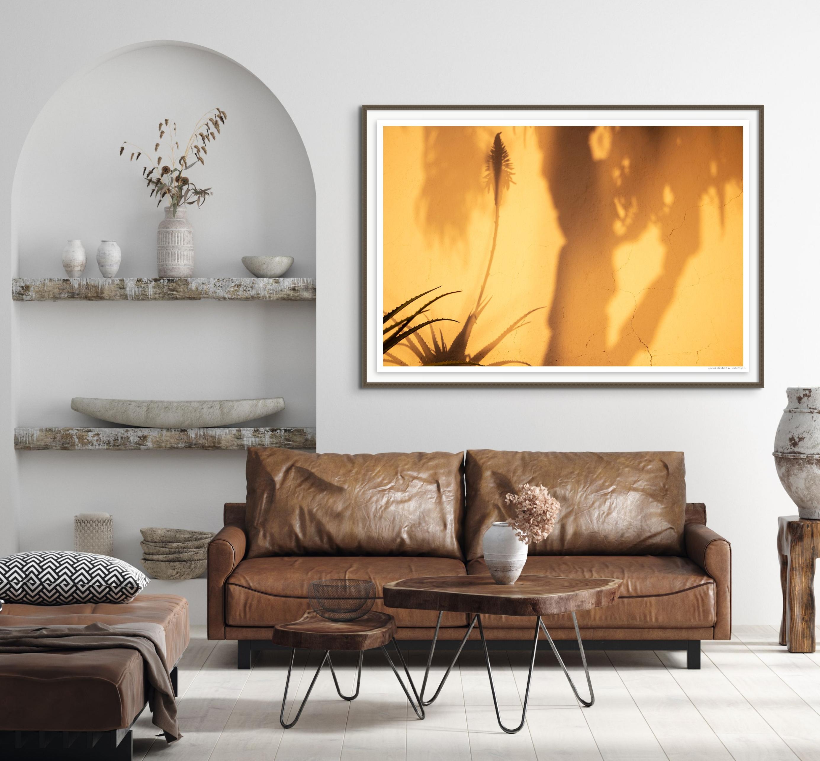 'Sombras Doradas (2)'
Limited edition archival photograph. Unframed, hand signed and numbered
_________________
Shadows painted on the finca wall: low December sun, golden, luminous, casting soft silhouettes through the aperture of the Eucalyptus
