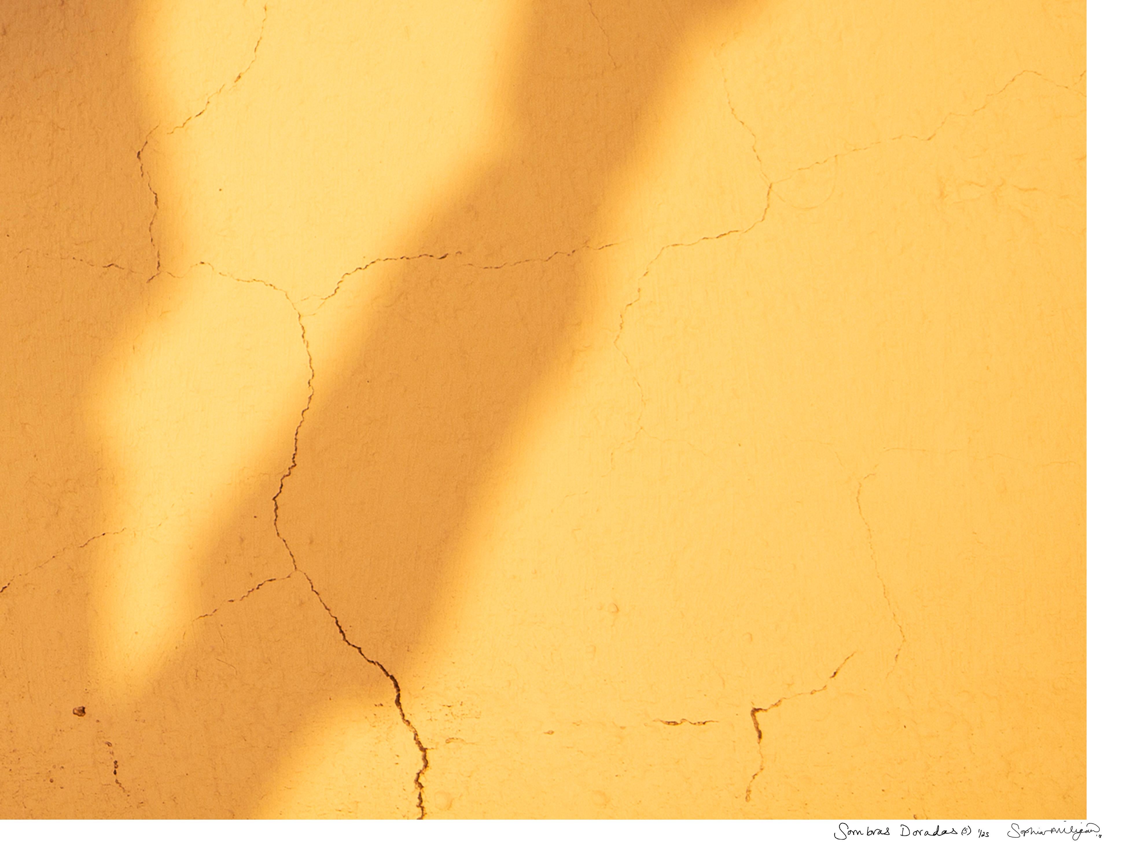 Sombras Doradas (5)' Großformatiges Foto, Wüsten-Silhouette Sonnenuntergang Gelbgold im Angebot 2
