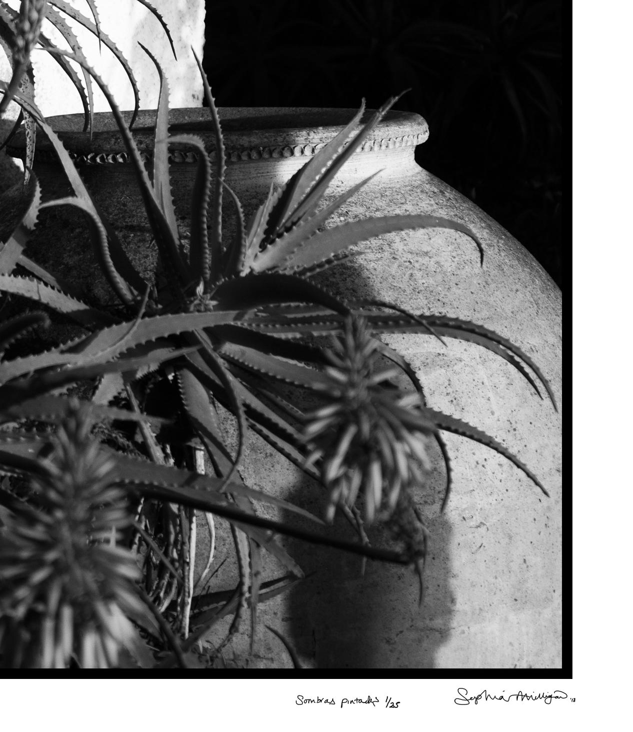 Sombras Pintadas' Contemporary Photo Silhouette Shadows Spanish monochrome en vente 3