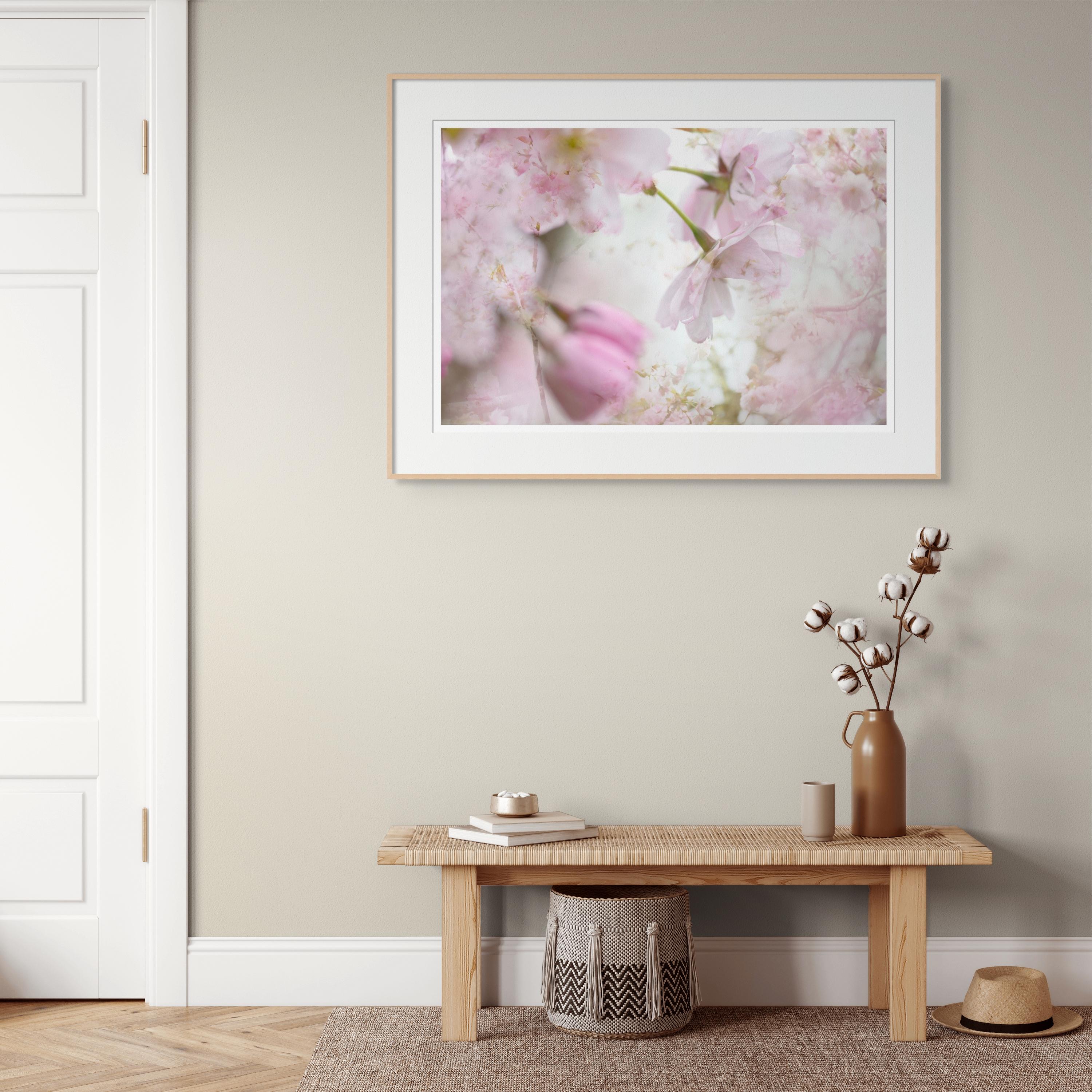 'Spring couplet' Photograph Cherry blossom Sakura flowers white pink nature - Gray Abstract Photograph by Sophia Milligan