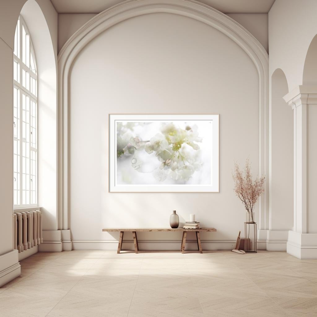 'Spring Rain' Large Scale Photograph Cherry blossom Sakura flowers green white - Gray Color Photograph by Sophia Milligan