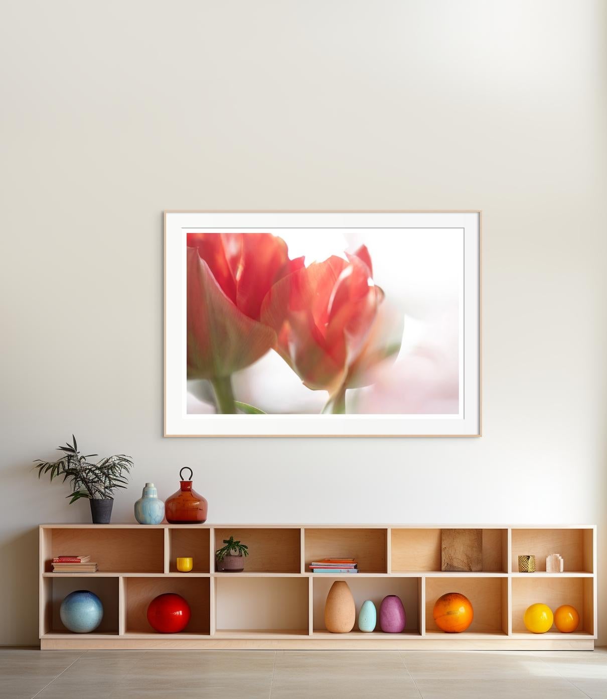 „Sunday's Tulips (I)“ Großformatige Fotografie kräftige Blume pastellrot orangeweiß – Photograph von Sophia Milligan