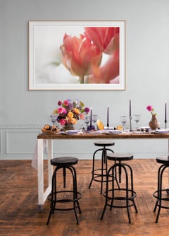 'Sunday's Tulips (II)' Large Scale Photo bold flower pastel red orange white