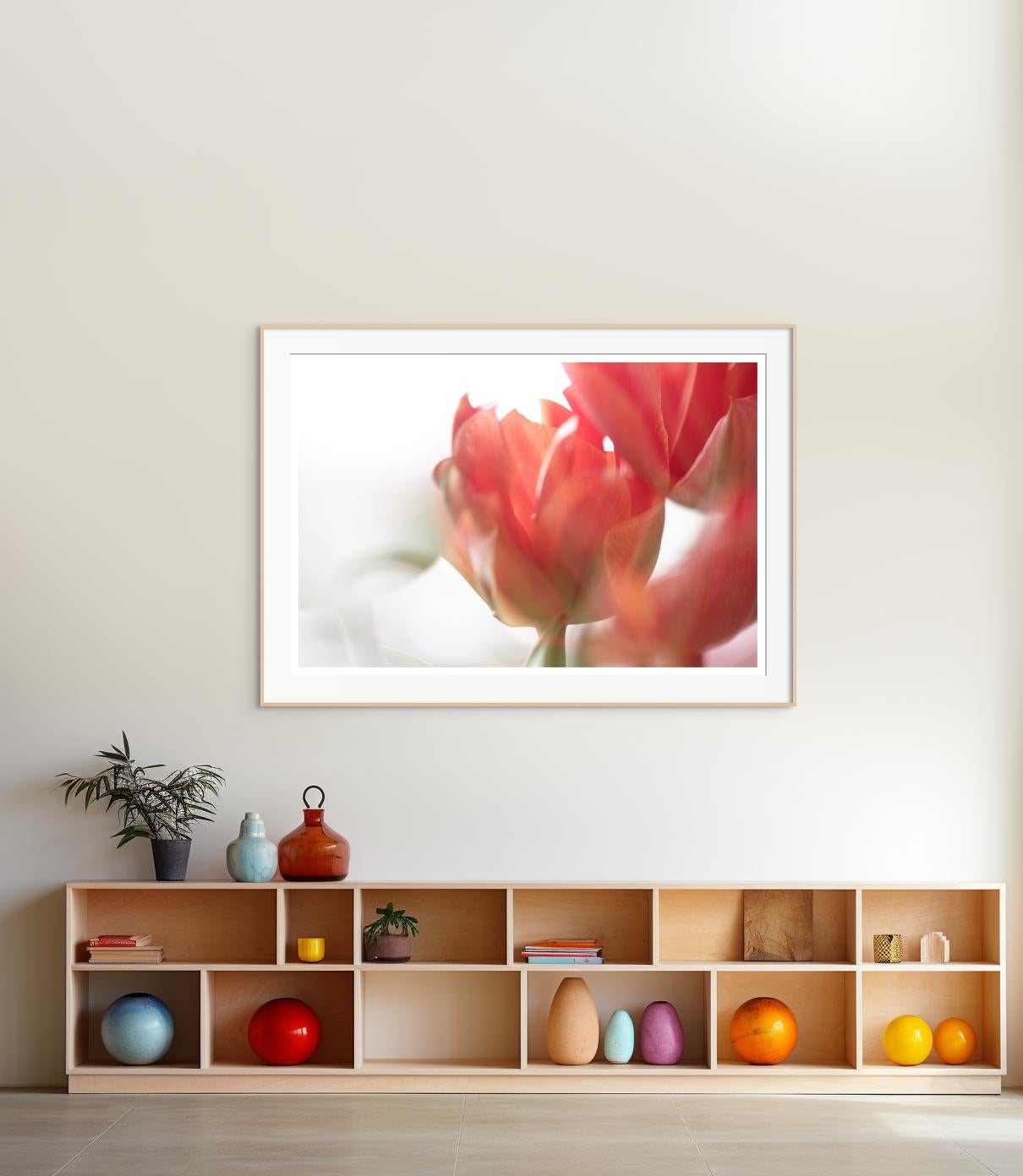„Sunday's Tulips (II)“ Großformatiges Foto kräftige Blume pastellrot orangeweiß im Angebot 2