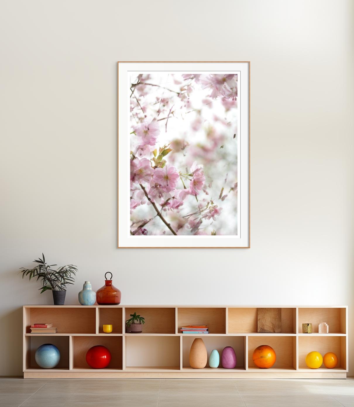 'The Optimism of Spring' Large Scale Photo Cherry blossom Sakura flowers pink For Sale 1