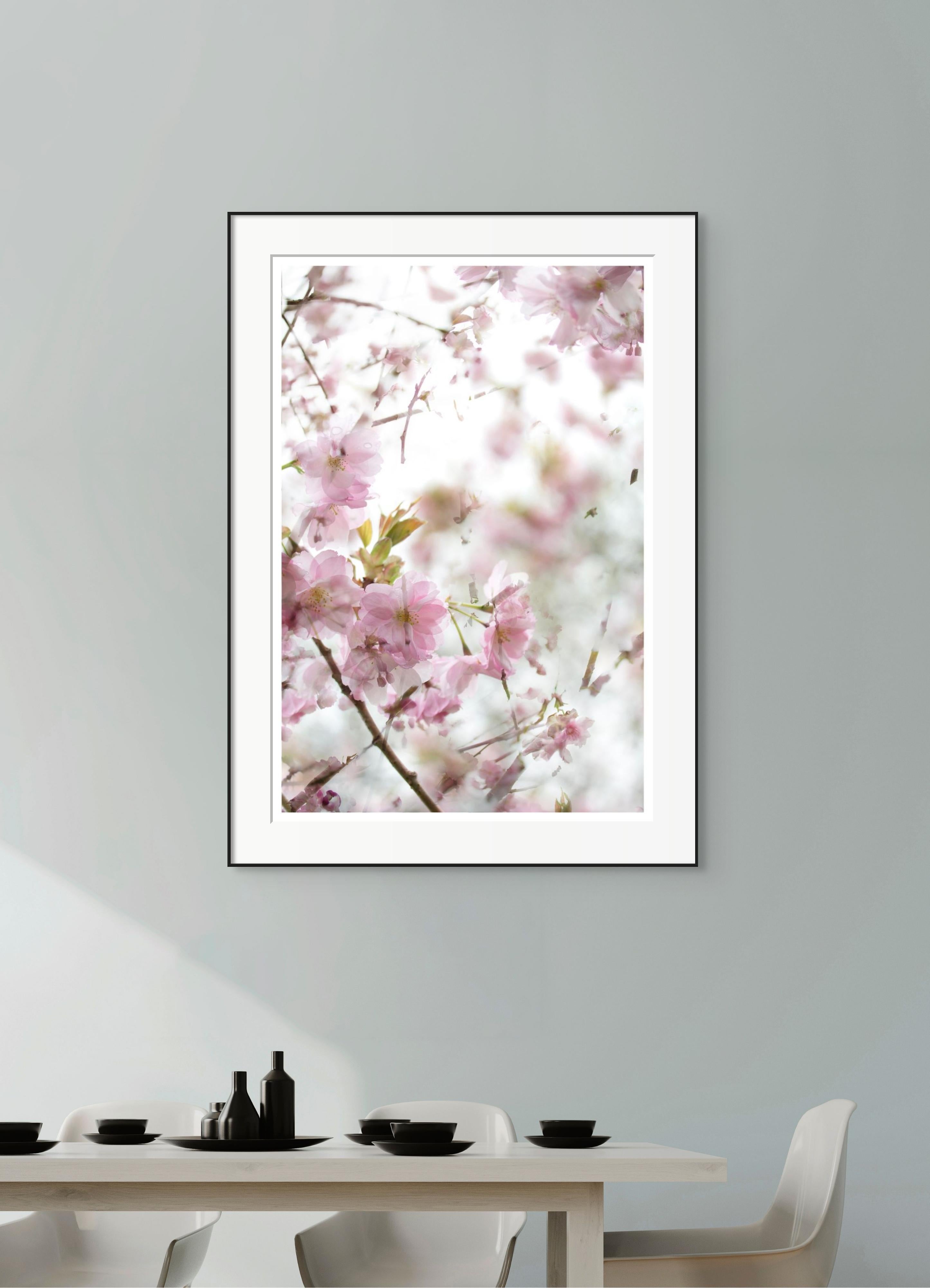 Photographie « The Optimism of Spring » (L'optimisme du printemps) fleur de cerisier Sakura rose vert rose en vente 1
