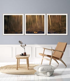 'Wa-Kal-La' Photographic triptych Yosemite Water Wood Tree Stone Nature Gold