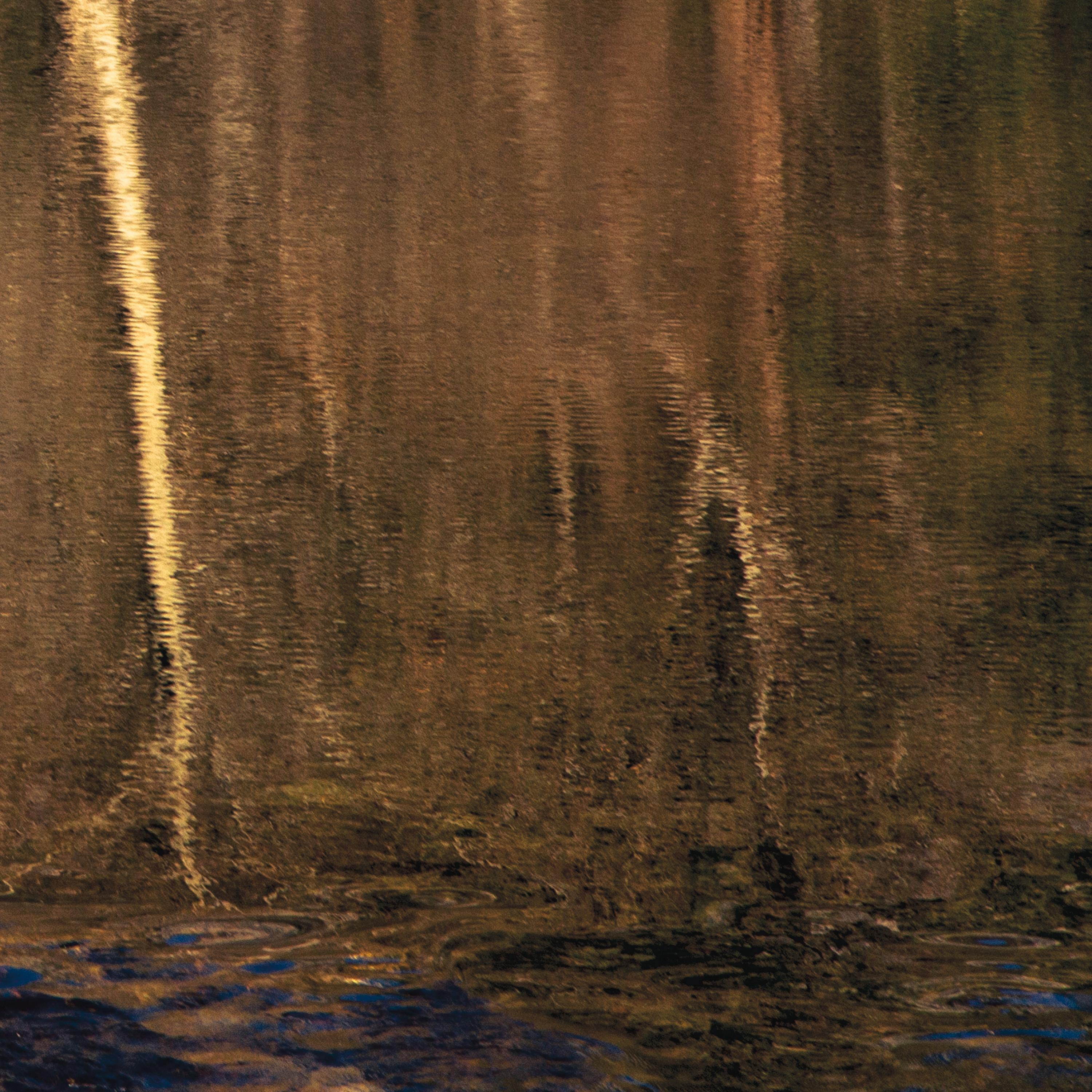 'Wa-Kal-La' Photographic triptych Yosemite Water Wood Tree Stone Nature Gold  For Sale 1