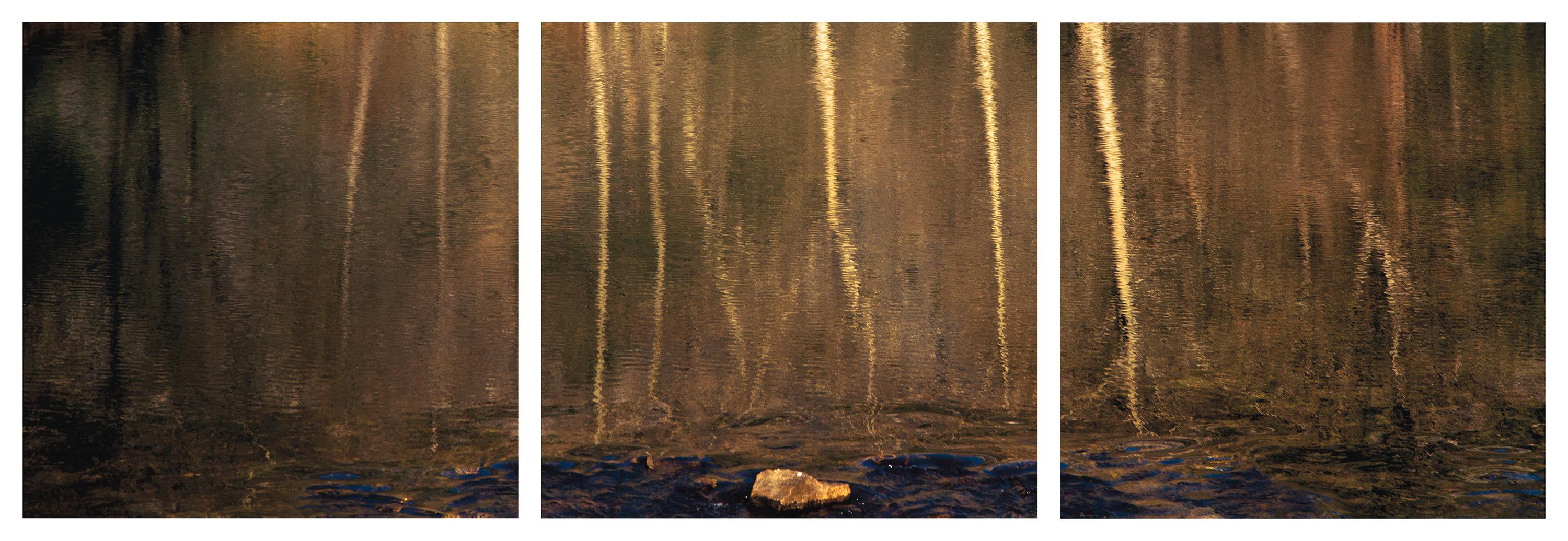 Wa-Kal-La" Fotografisches Triptychon Yosemite Wasser Wood Tree Stone Nature Gold 