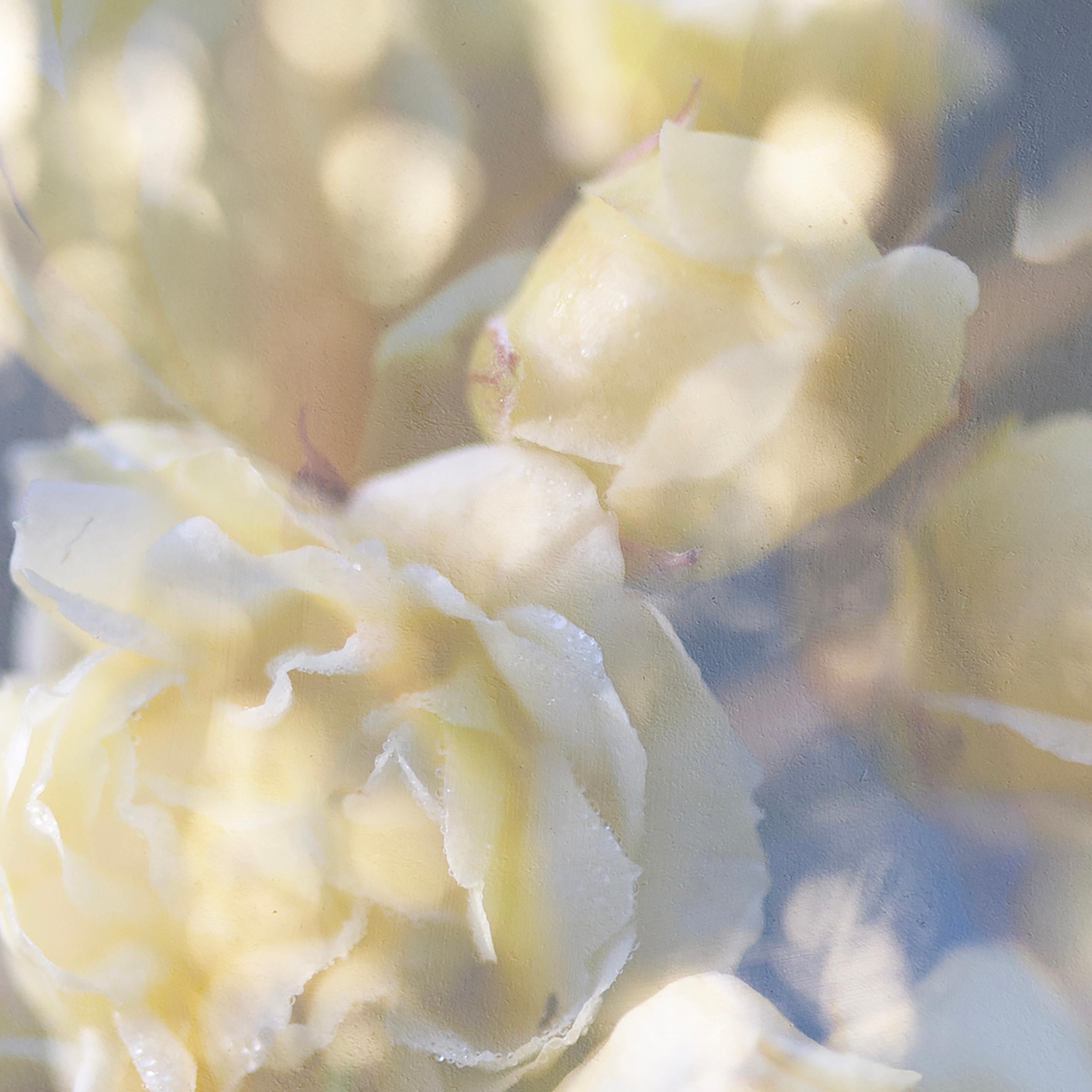 'Yellow is the Dawning of May' Large scale photograph flowers blue green pastel - Contemporary Photograph by Sophia Milligan