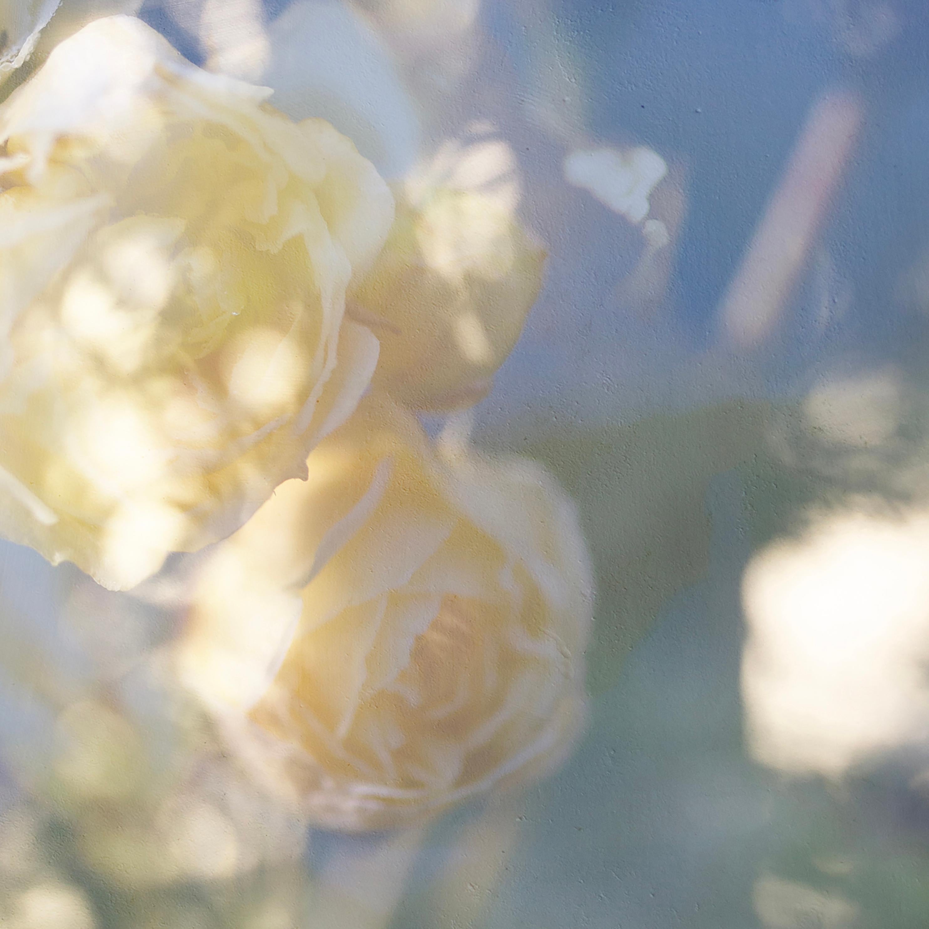 'Yellow is the Dawning of May' Large scale photograph flowers blue green pastel - Gray Color Photograph by Sophia Milligan