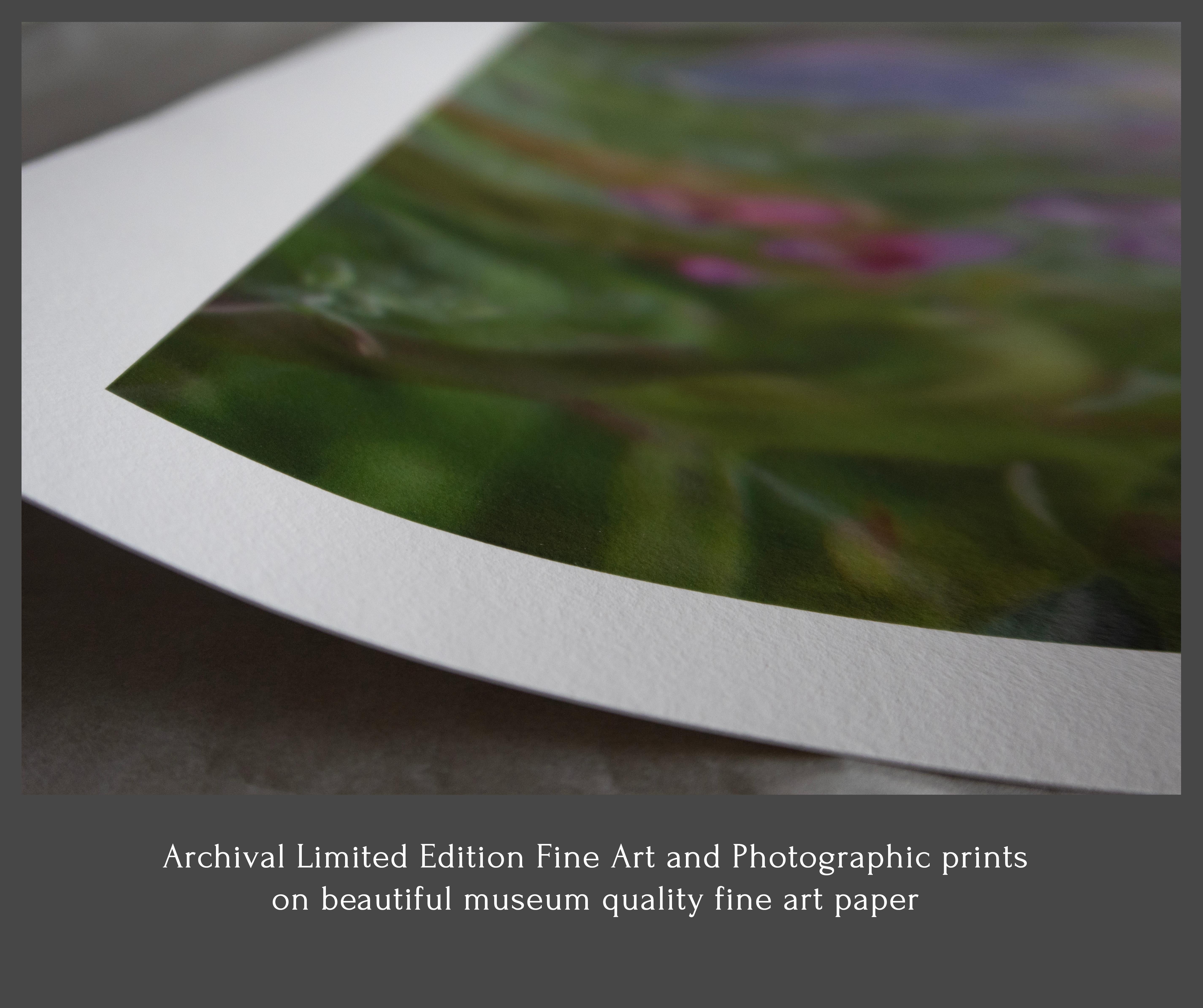 'Yellow is the Dawning of May' Large scale photograph flowers blue green pastel For Sale 2