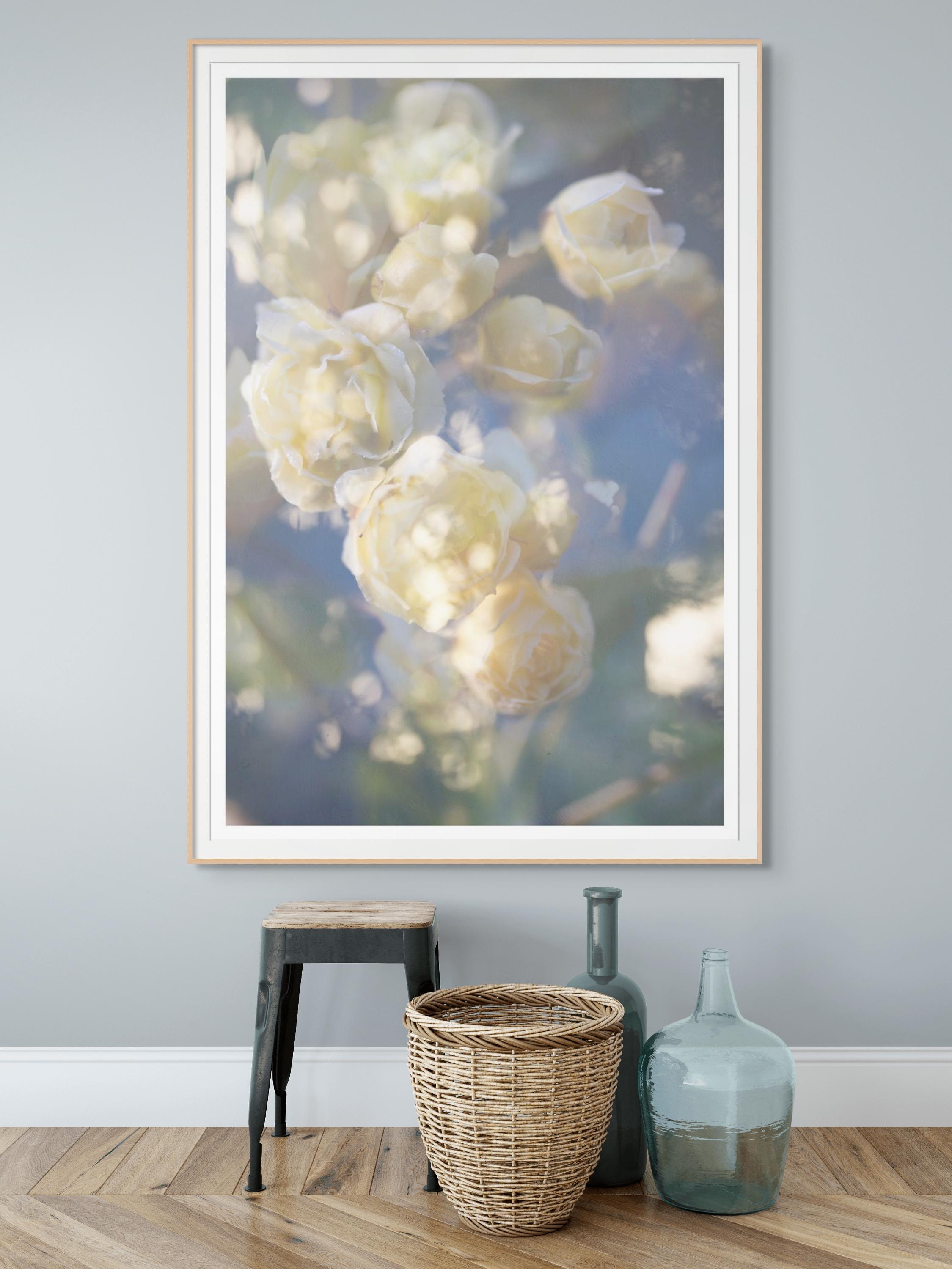 « Yellow is the Dawning of May », photographie à grande échelle de fleurs bleu vert pastel en vente 4