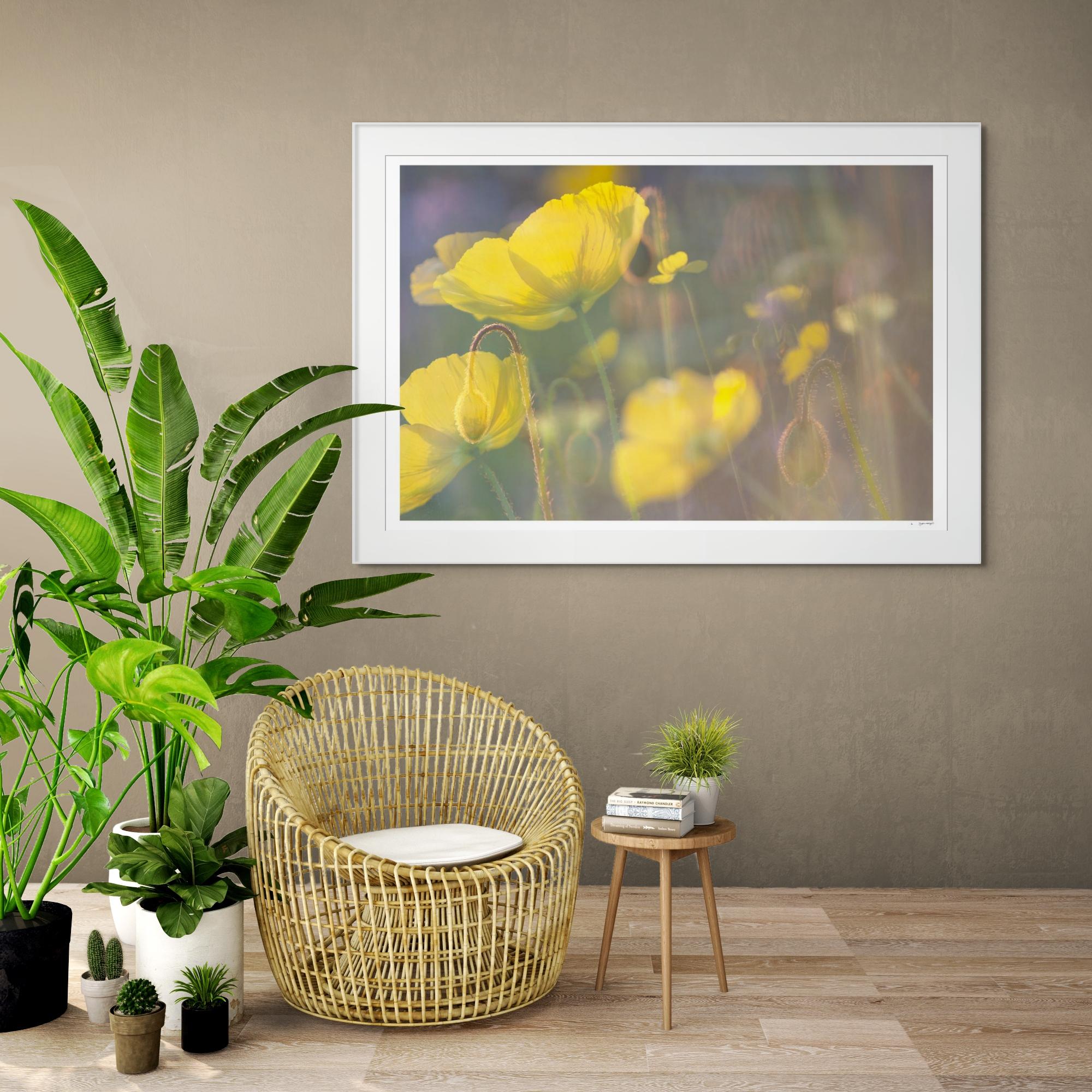 'Yellow Poppies' Large scale floral photo. Botanical yellow green - Photograph by Sophia Milligan