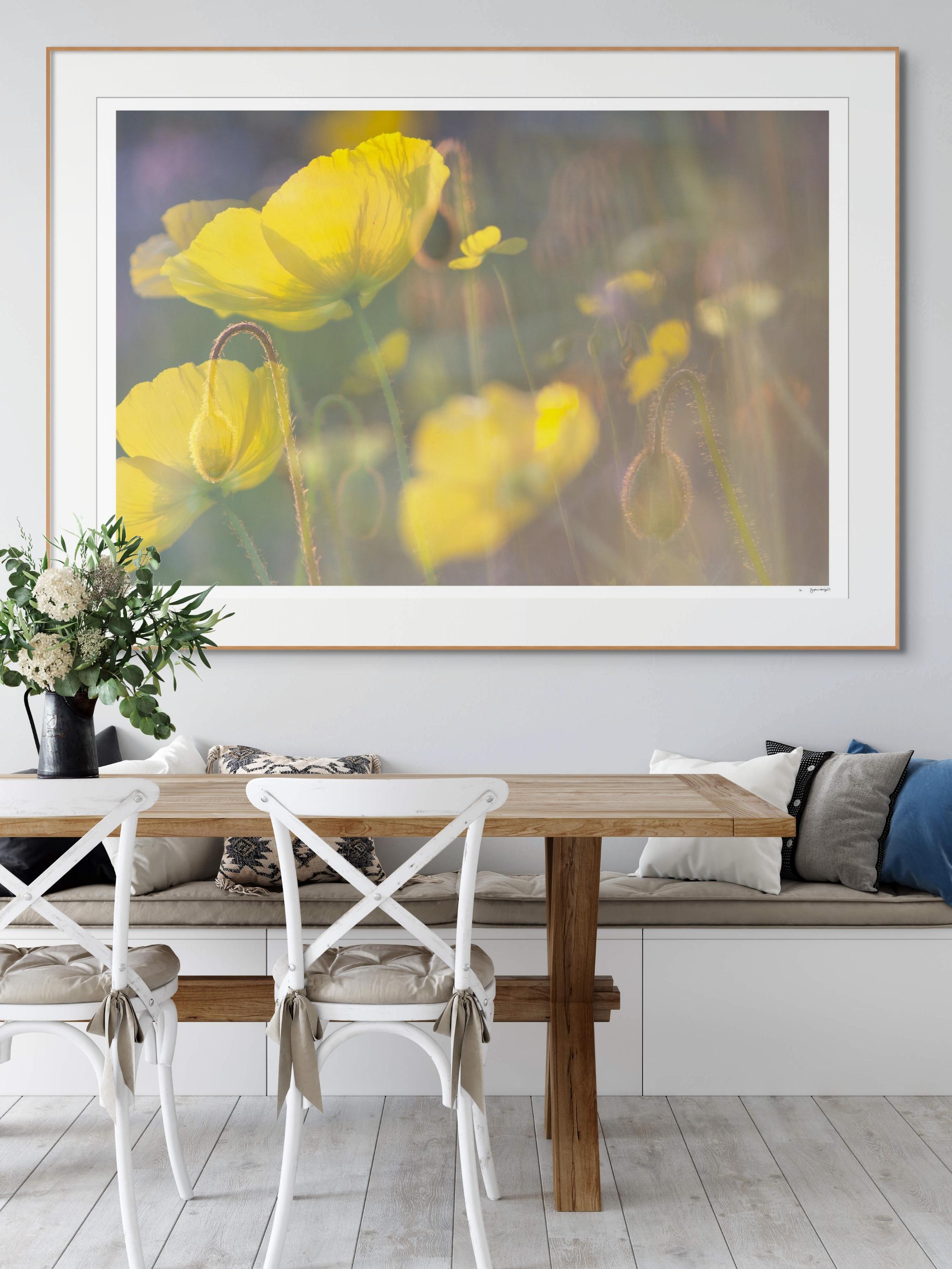 'Yellow Poppies' Large scale floral photo. Botanical yellow green For Sale 1