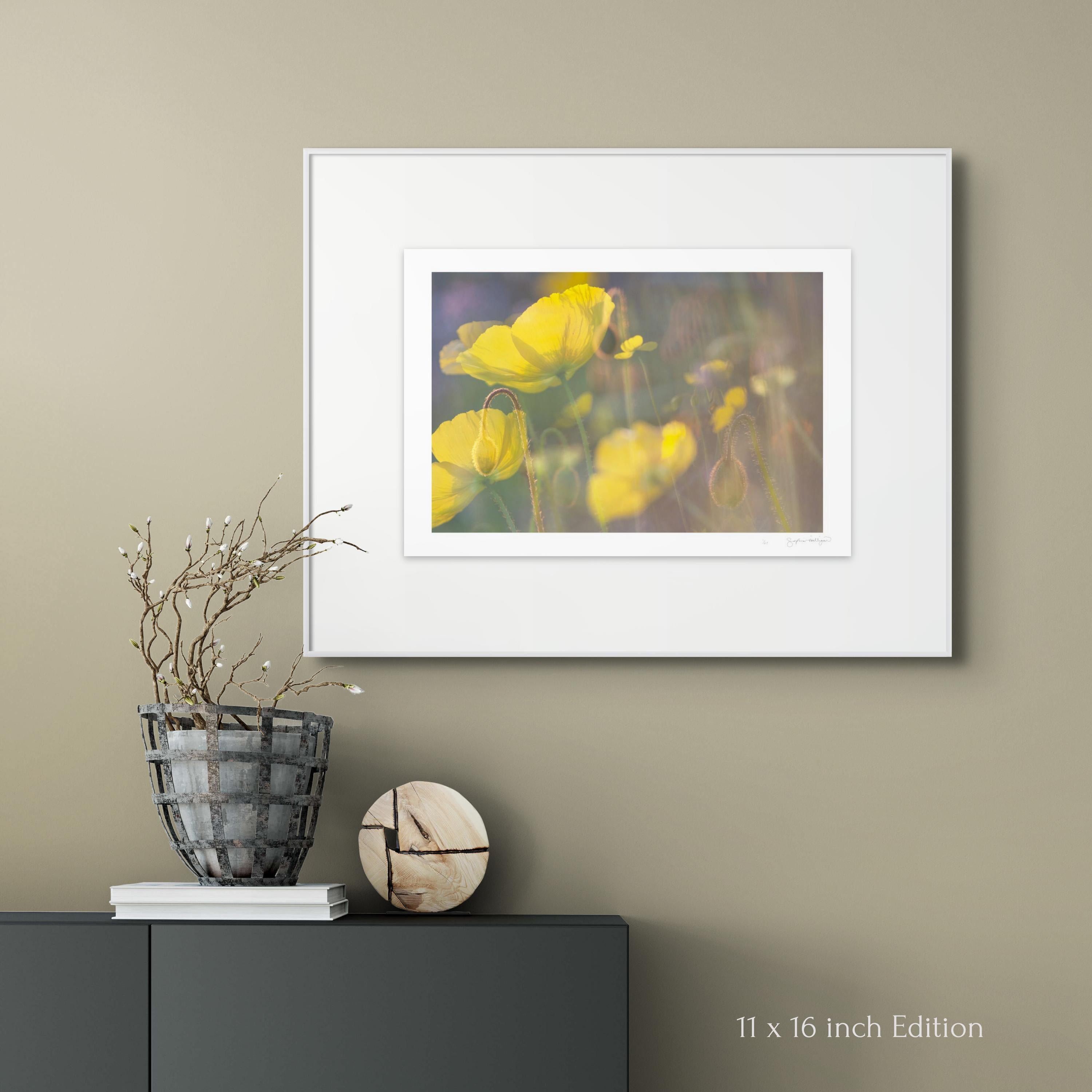'Yellow Poppies' Large scale floral photo. Botanical yellow green For Sale 1
