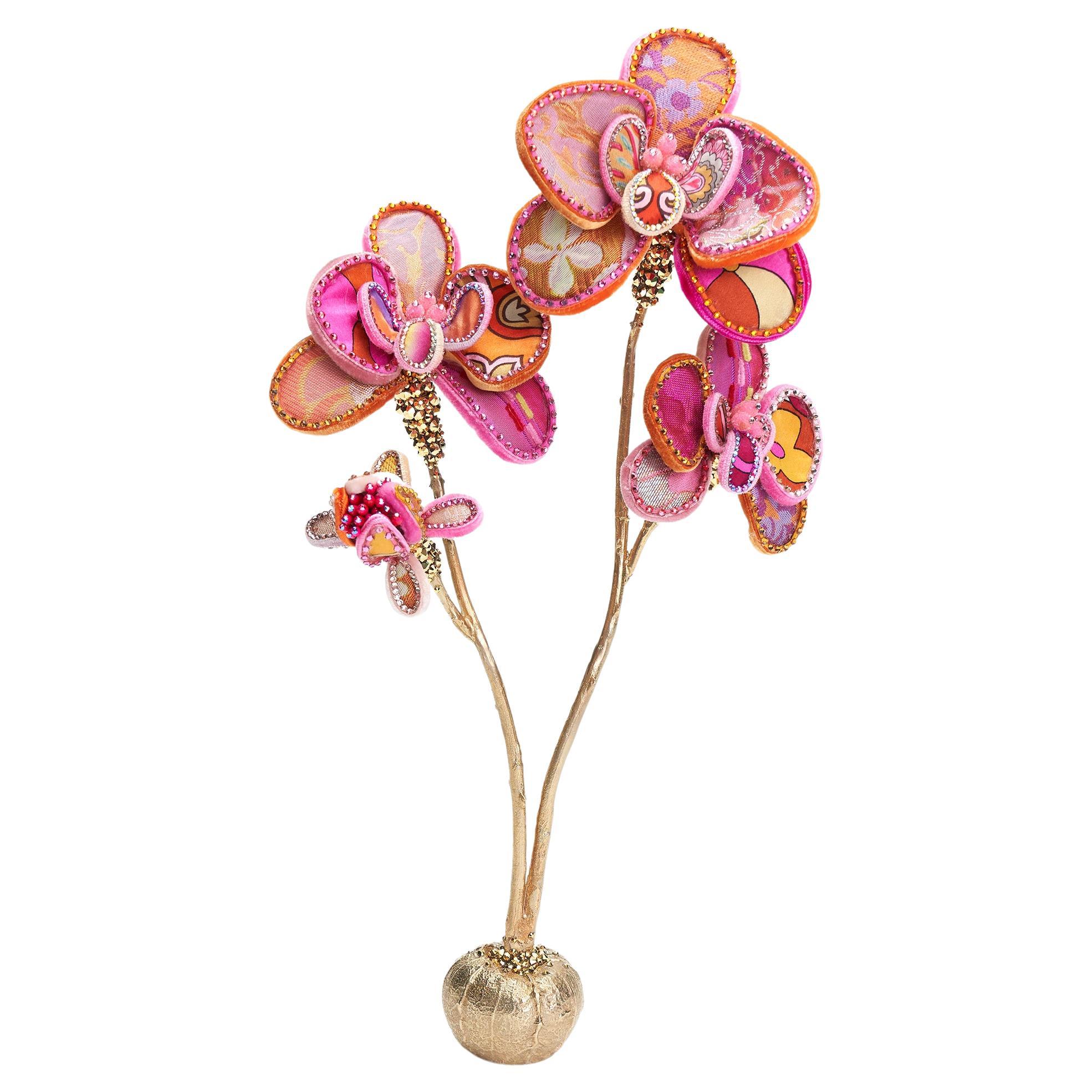 Sophia-Orchidee