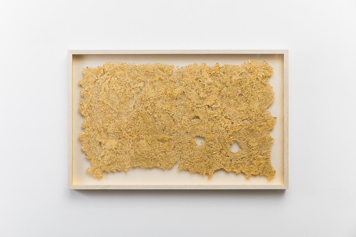 With Fragment, Sophie Coryndon masterfully explores the exquisite nature of honeycombs using cast acrylic polymer that has been gilded and highly patinated, preserving the fragility of its source material. Coryndon, who says that natural forms are