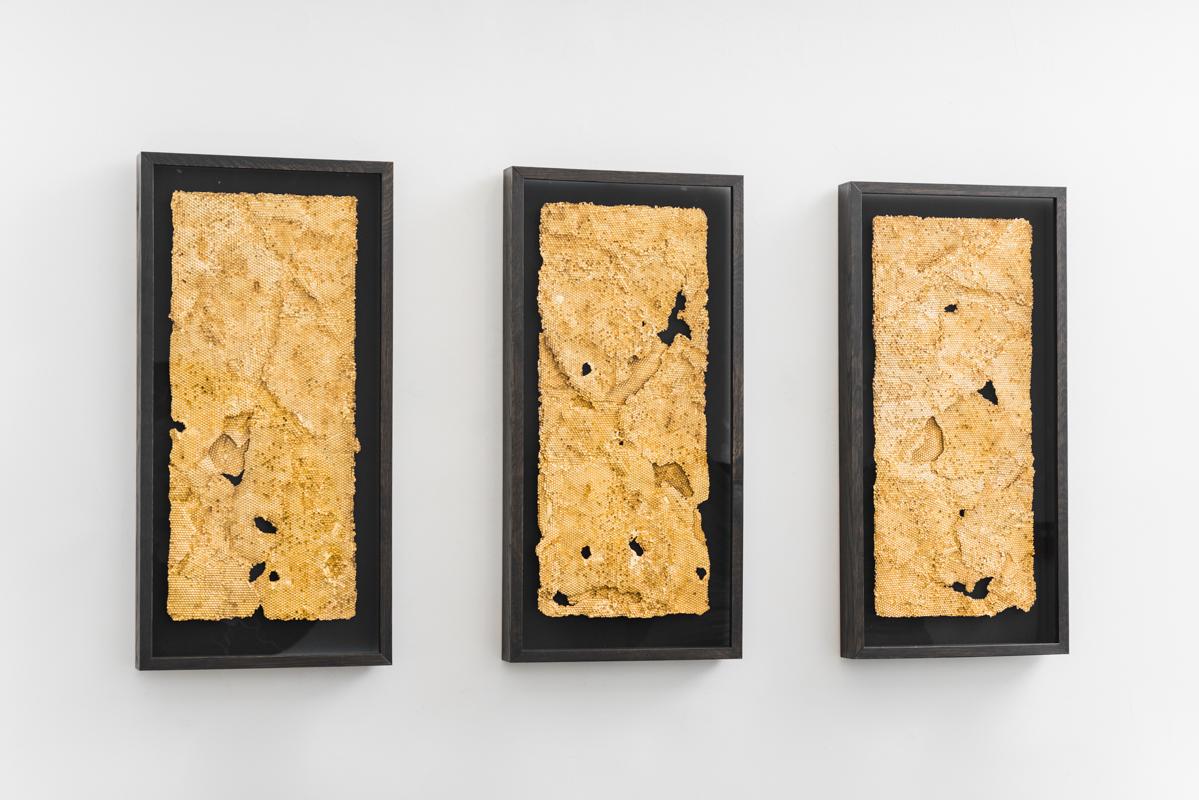 Tapestry Fragment Triptych is composed of two panels of layered, cast Jesmonite honeycomb, that have been gilded with 23.5 ct gold leaf. The overlapping layers of the panels hang, emulating ornate textiles. Coryndon became interested in bees after