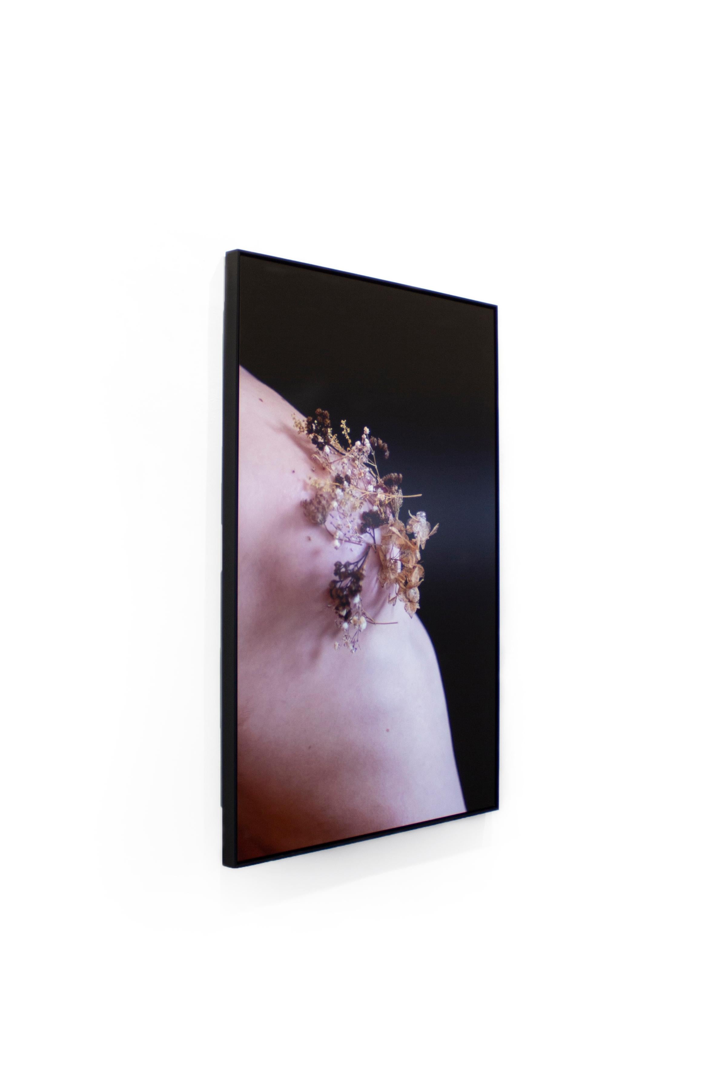 Paisajes vivos - Photograph Contemporáneo de Sophie de Vos