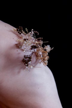 Paysages vivants