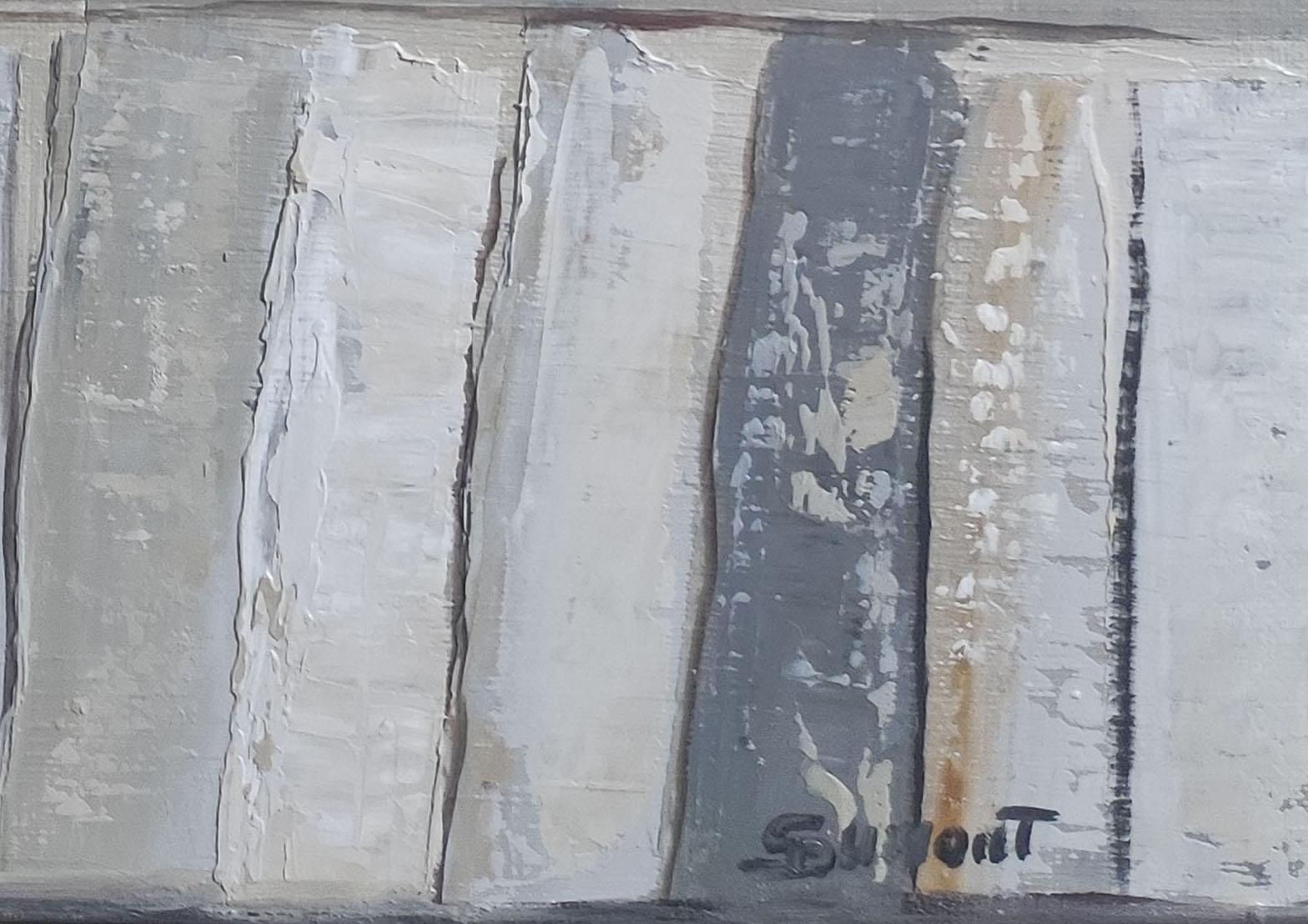toni di grigio, minimalismo, bianco, astratto, japandi, olio, texture, serie biblioteche 4