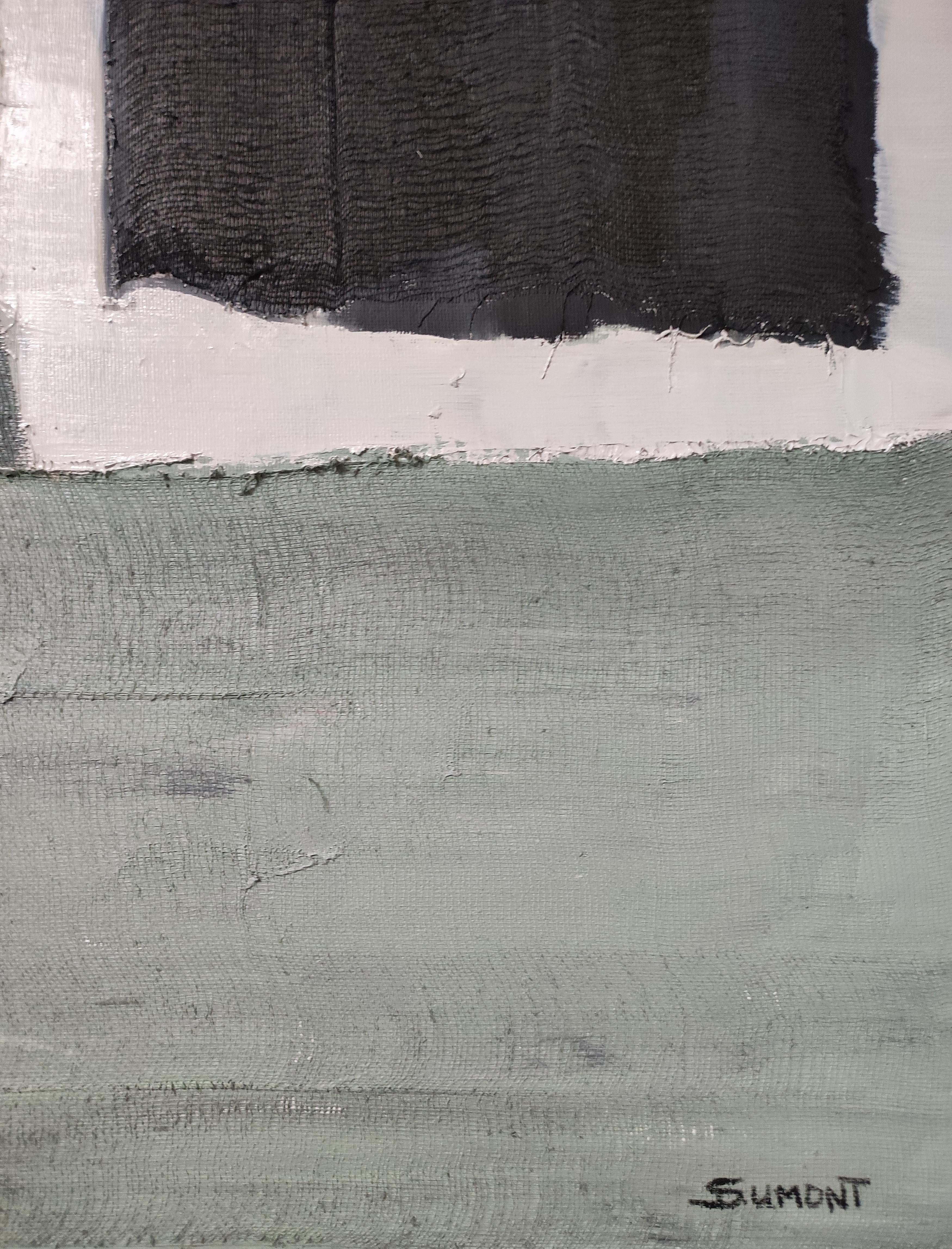 jeu de matieres, artiste français, huile et collage, abstrait vert, contemporain - Noir Abstract Painting par SOPHIE DUMONT