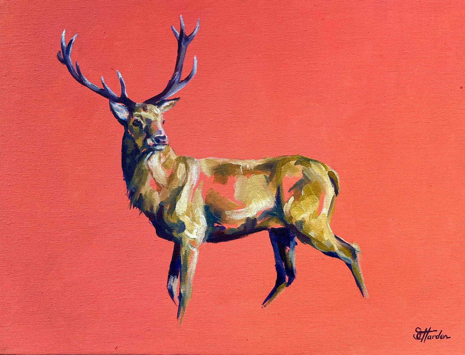 Sophie Harden Animal Painting - Hart of Mine, Deer Art, Stag Art, Contemporary Animal Art, Bright Scottish Art
