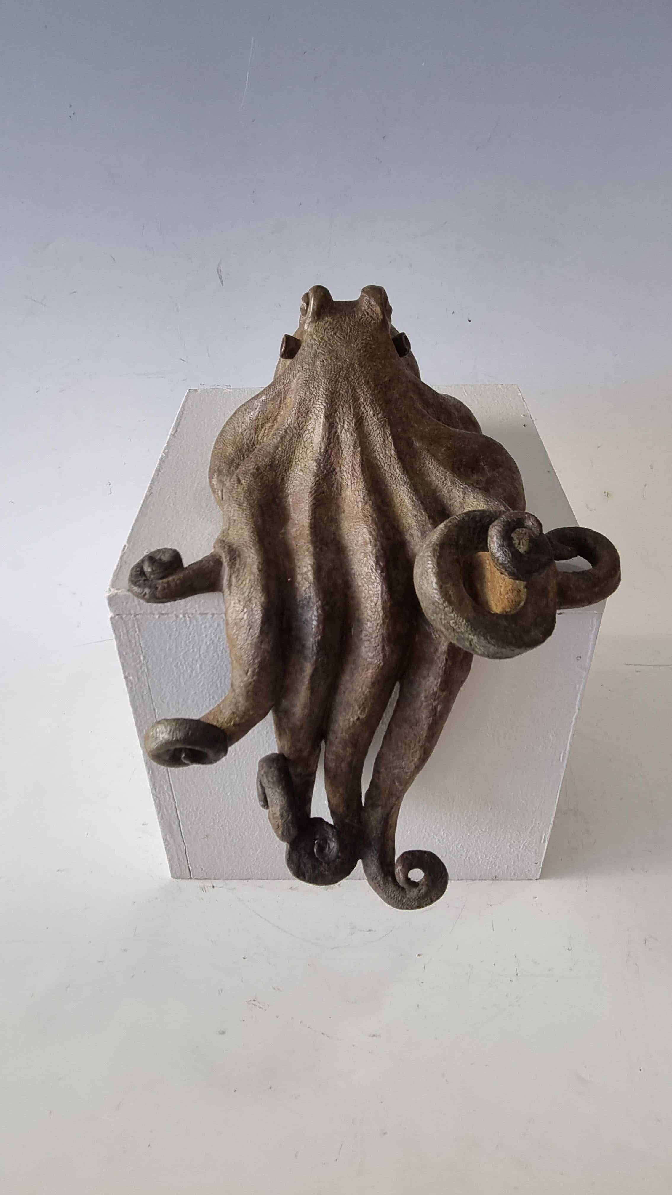 La scultrice di animali Sophie MARTIN crea dall'argilla inerte un intero regno animale vivente.
Osserva liberamente l'animale, ne cattura e interpreta il movimento e lo inserisce nella natura e nella vita reale con un tocco di fantasia. Senza