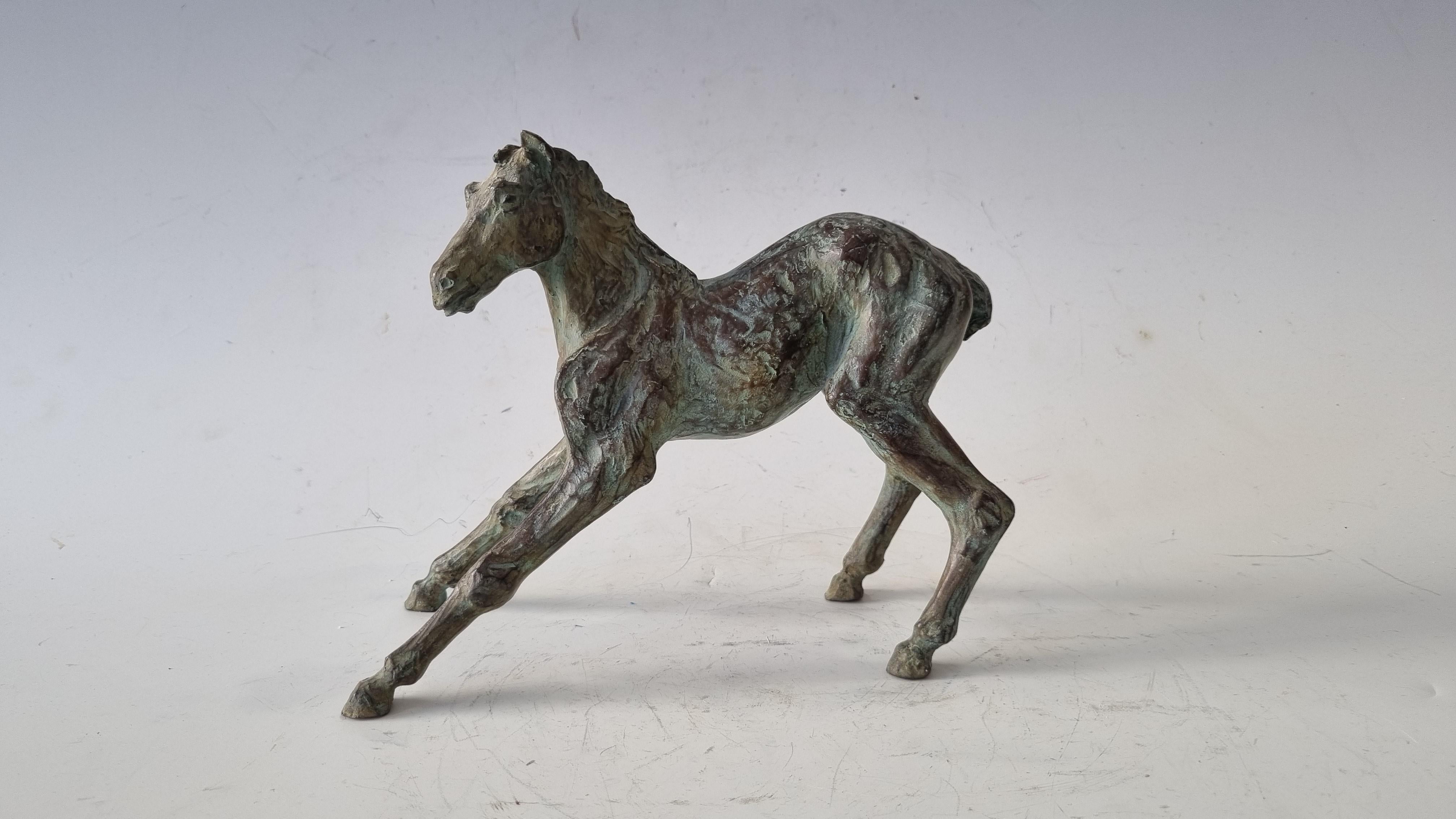 Bronze Colt 6/8 by Sophie Martin - Sculpture by SOPHIE MARTIN