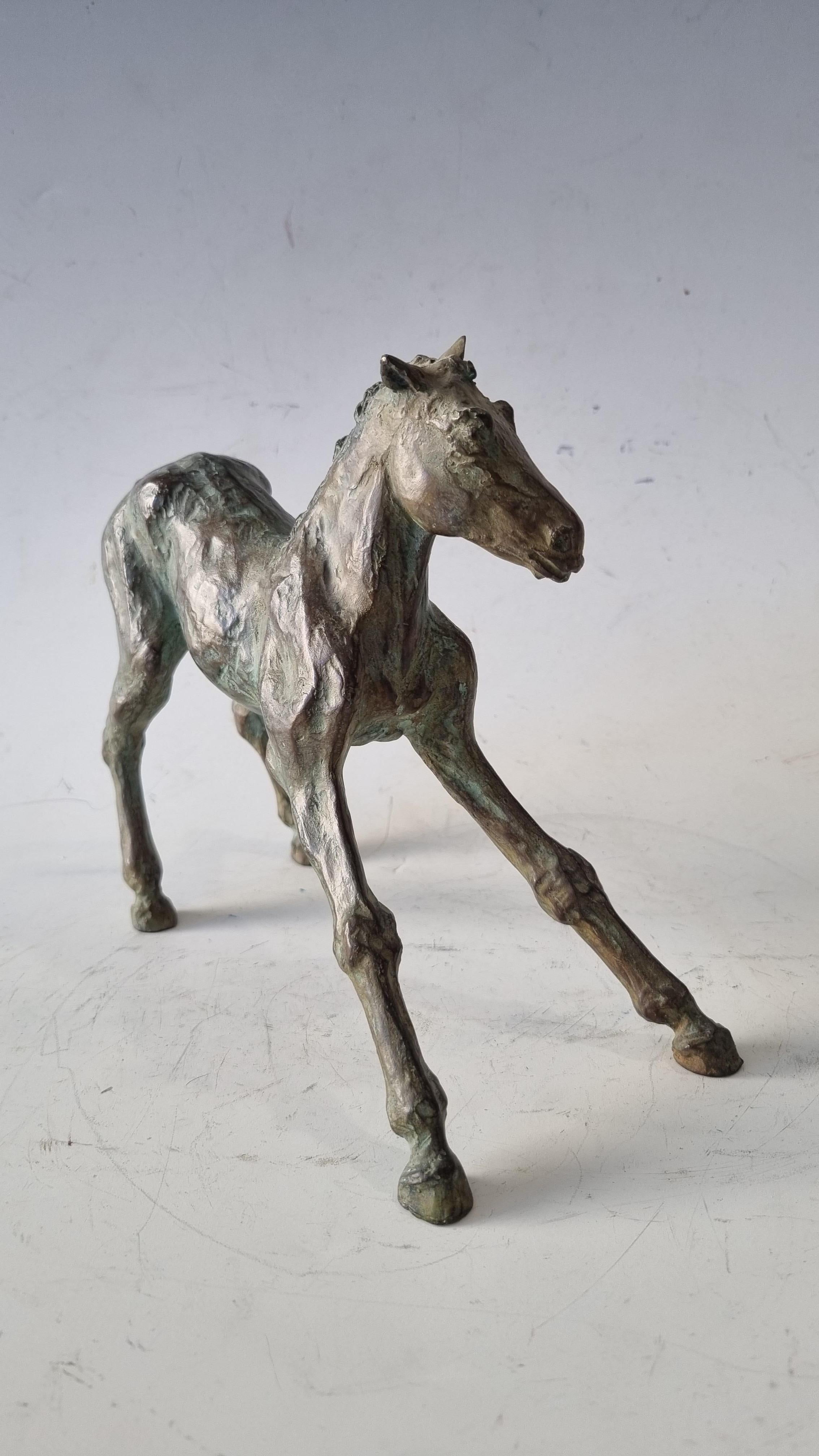 Bronze Colt 6/8 by Sophie Martin - Gold Figurative Sculpture by SOPHIE MARTIN