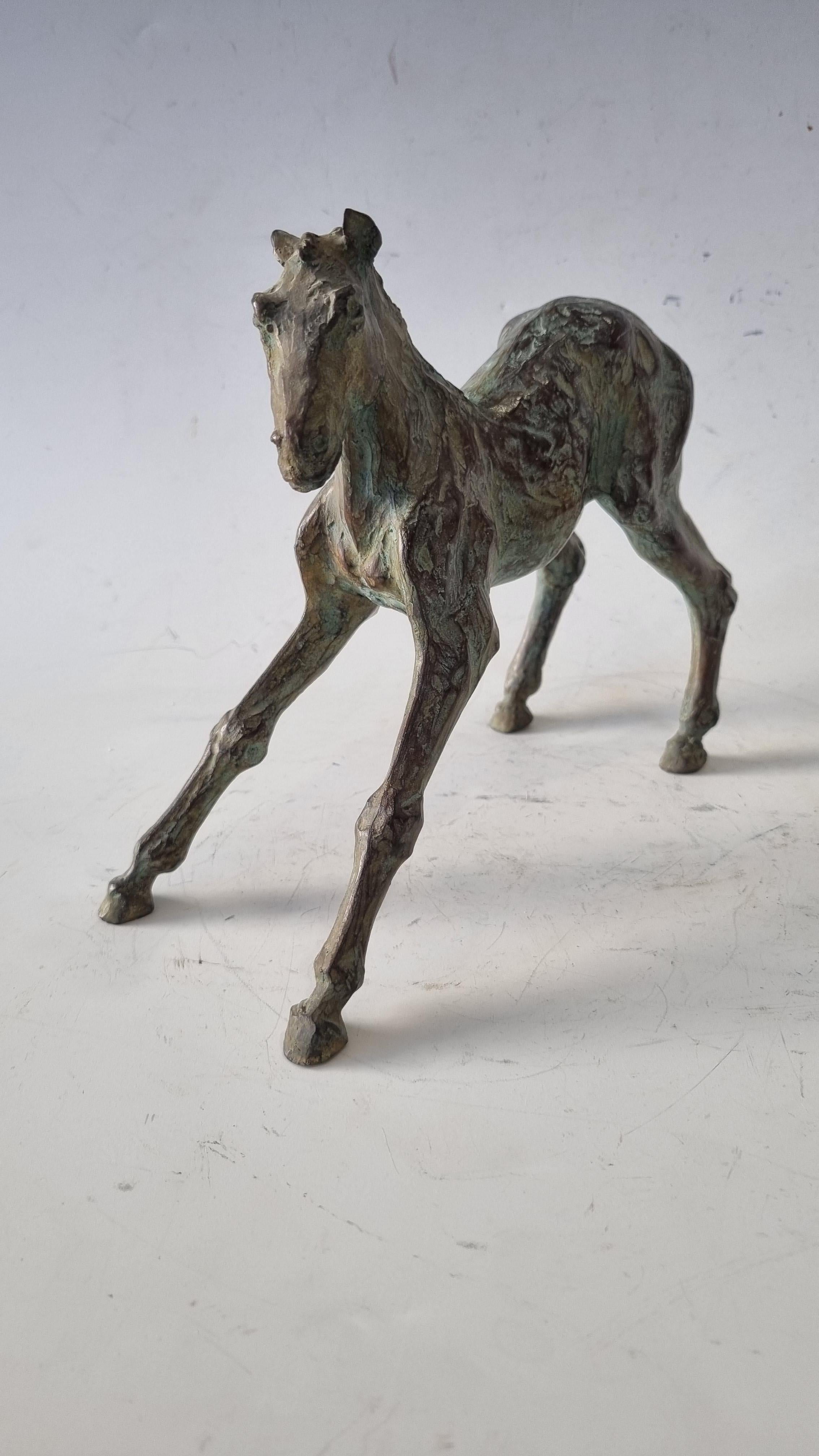 Animal sculptor Sophie MARTIN creates from inert clay a whole living animal kingdom.
She freely observes the animal and captures and interprets a movement; and places it in nature and real life with a zest of fancy. Without humanizing the model,