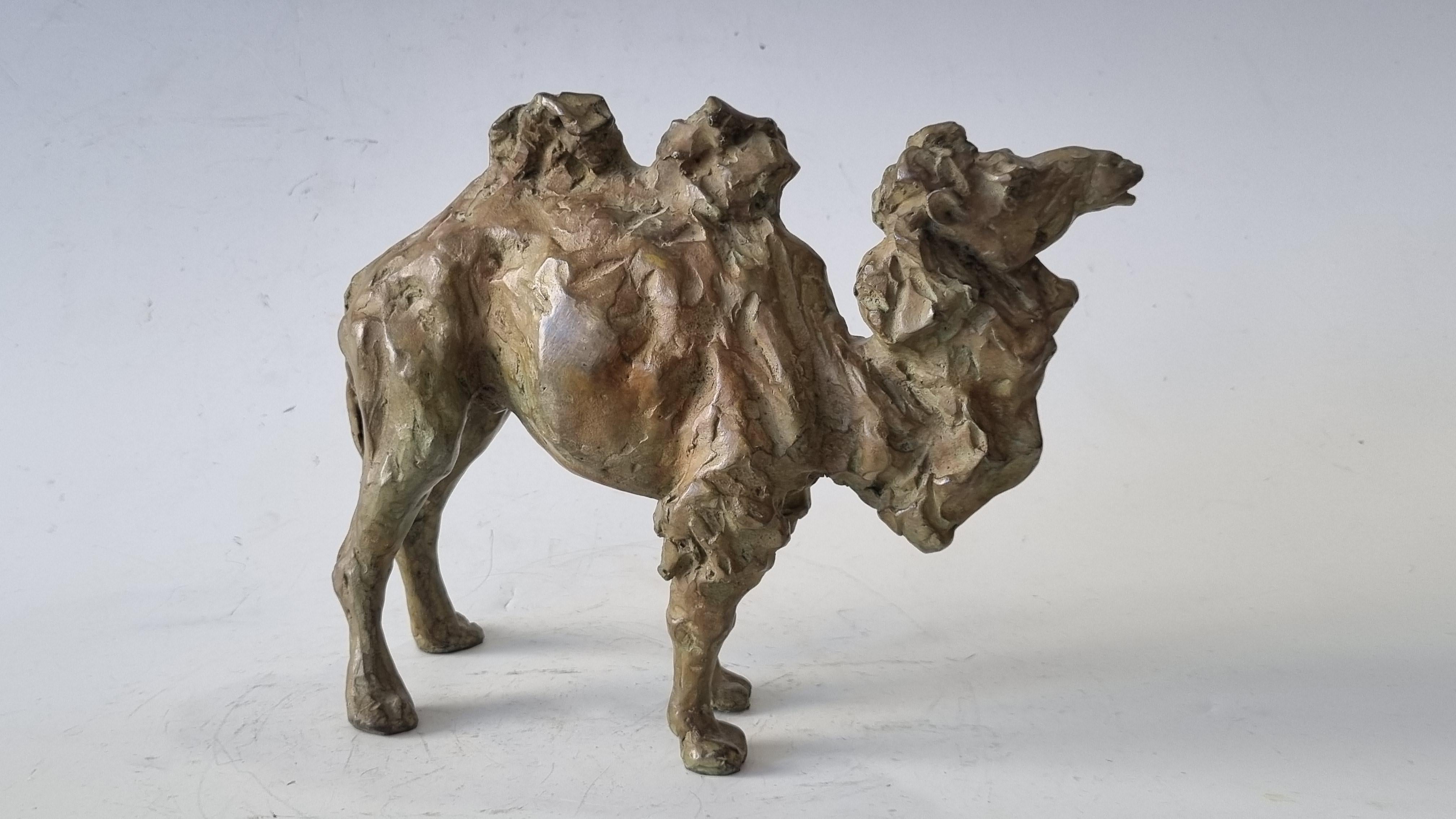 Camel  in bronze 6/8 by Sophie Martin - Contemporary Sculpture by SOPHIE MARTIN