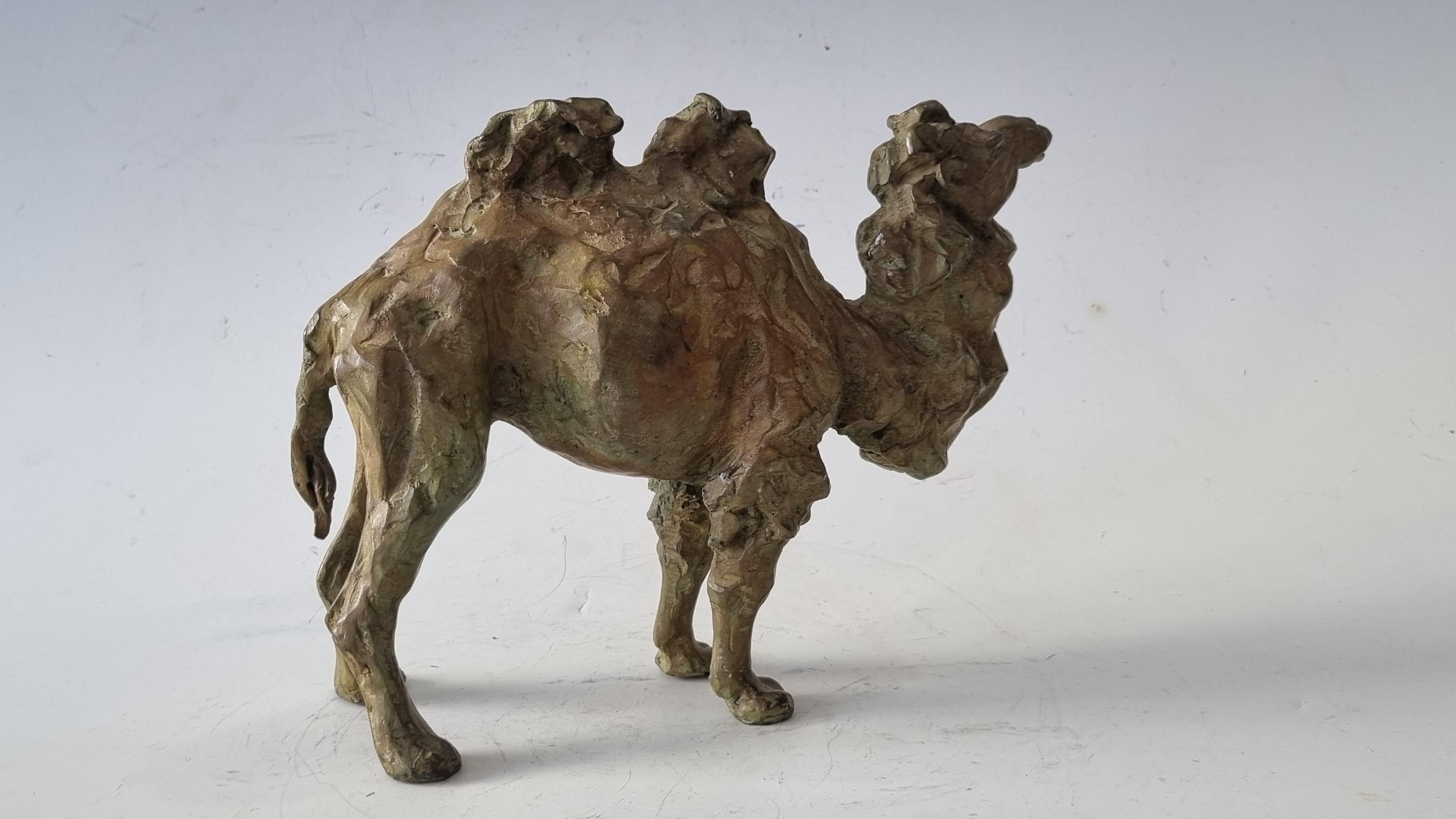 Camel  in bronze 6/8 by Sophie Martin - Gold Figurative Sculpture by SOPHIE MARTIN