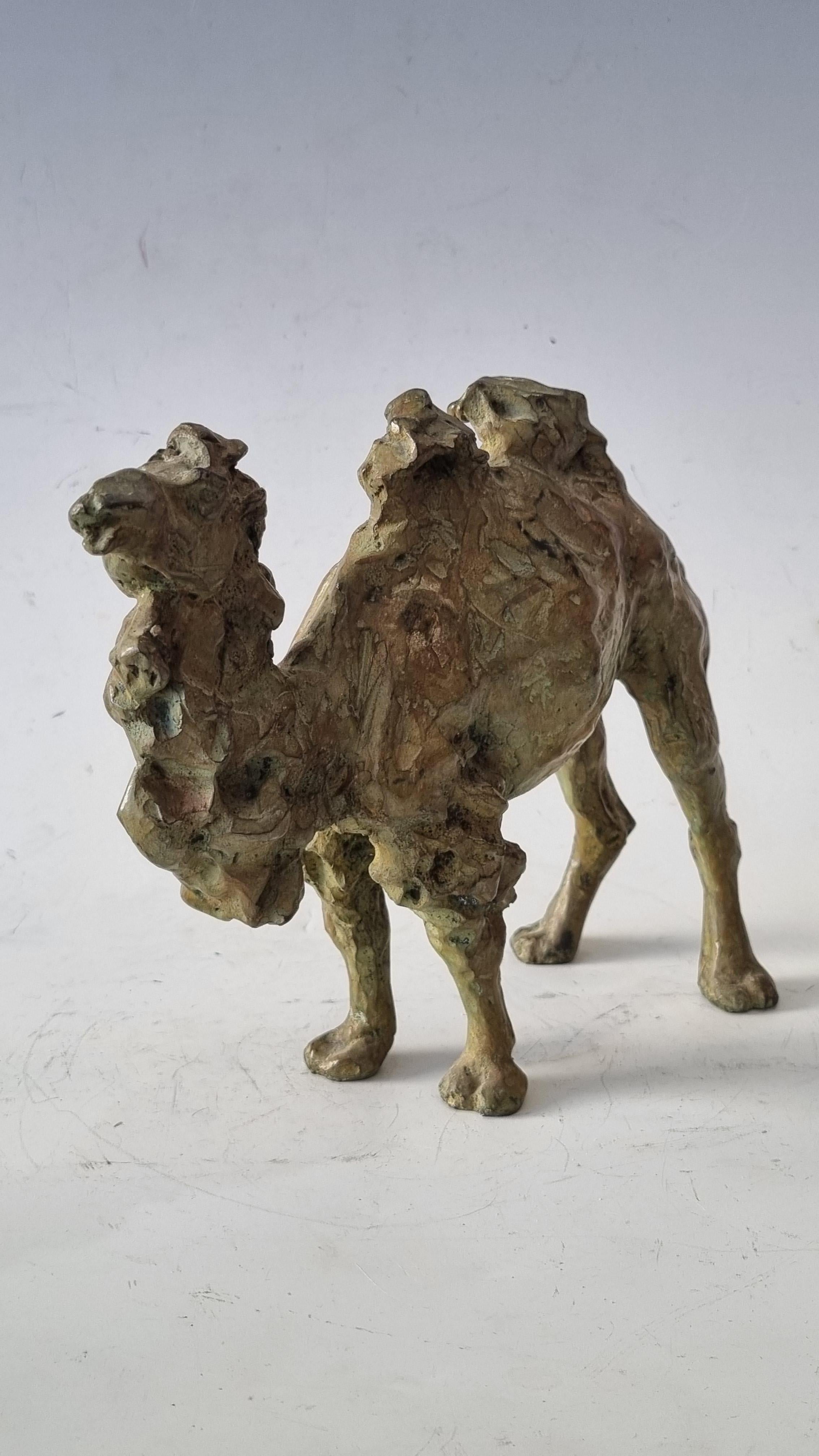 Lost wax bronze BBC (bronze Breith création 6/8)
foundry stamp and number on the side DELVAL 
foundry stamp and number on the side
Animal sculptor Sophie MARTIN creates from inert clay a whole living animal kingdom. She freely observes the animal