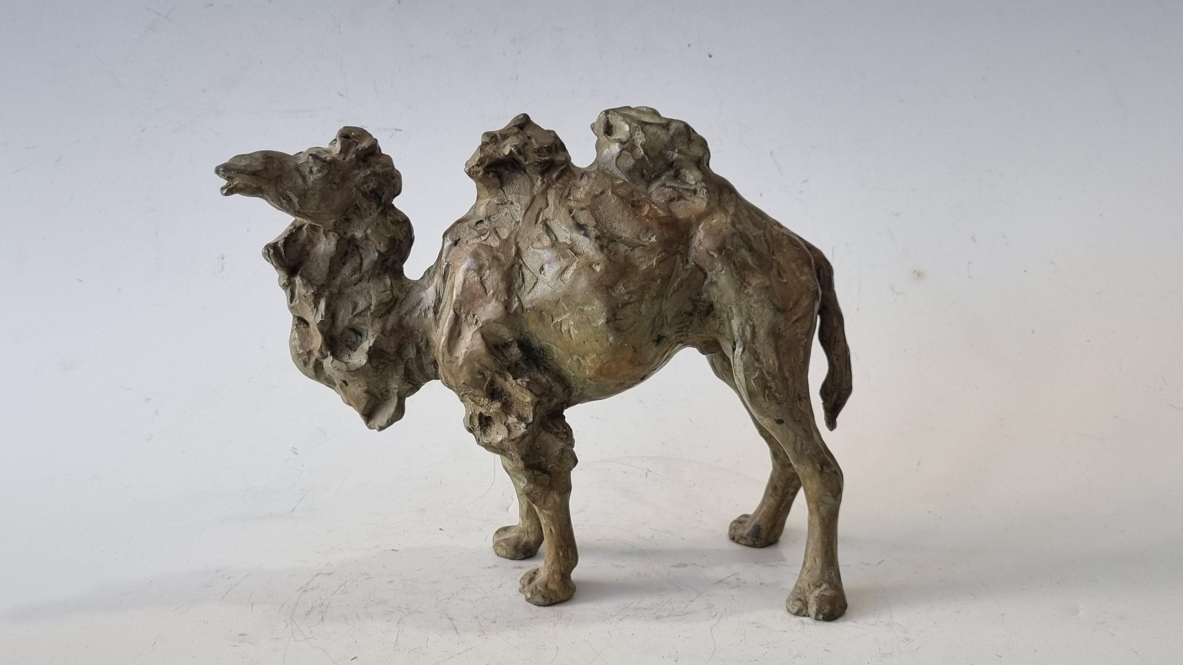SOPHIE MARTIN Figurative Sculpture - Camel  in bronze 6/8 by Sophie Martin