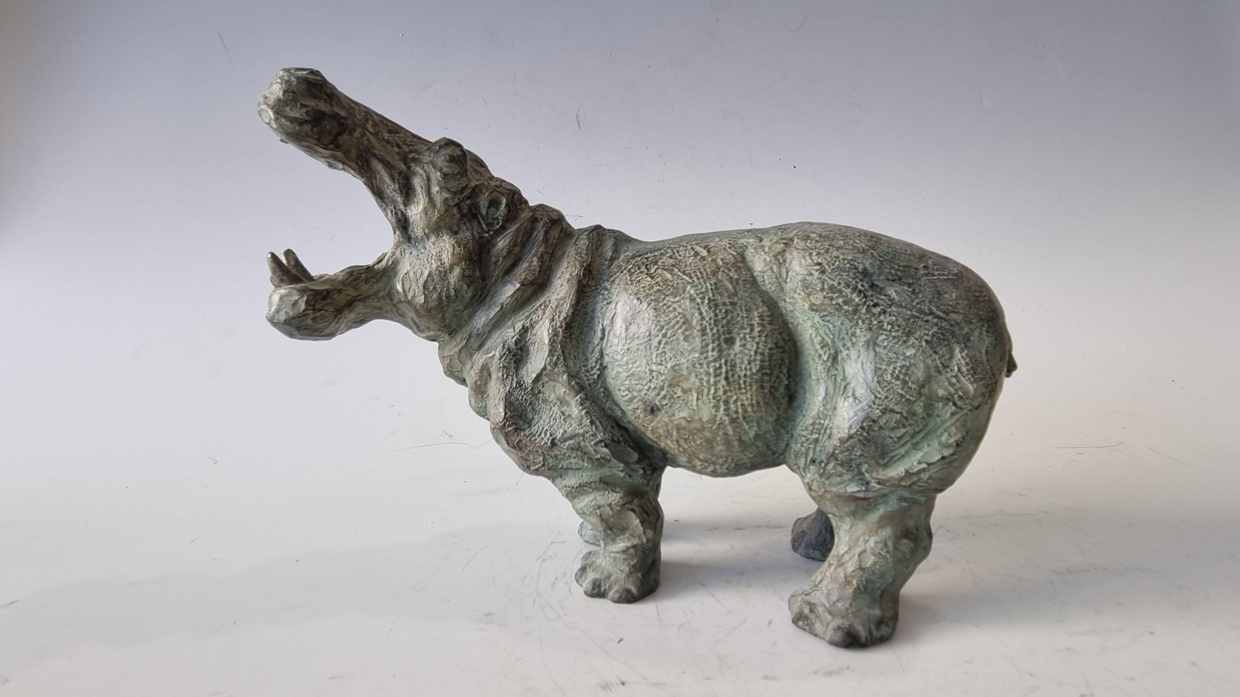  Yawning Hippopotamus Bronze EA IV/IV  - Sculpture by SOPHIE MARTIN