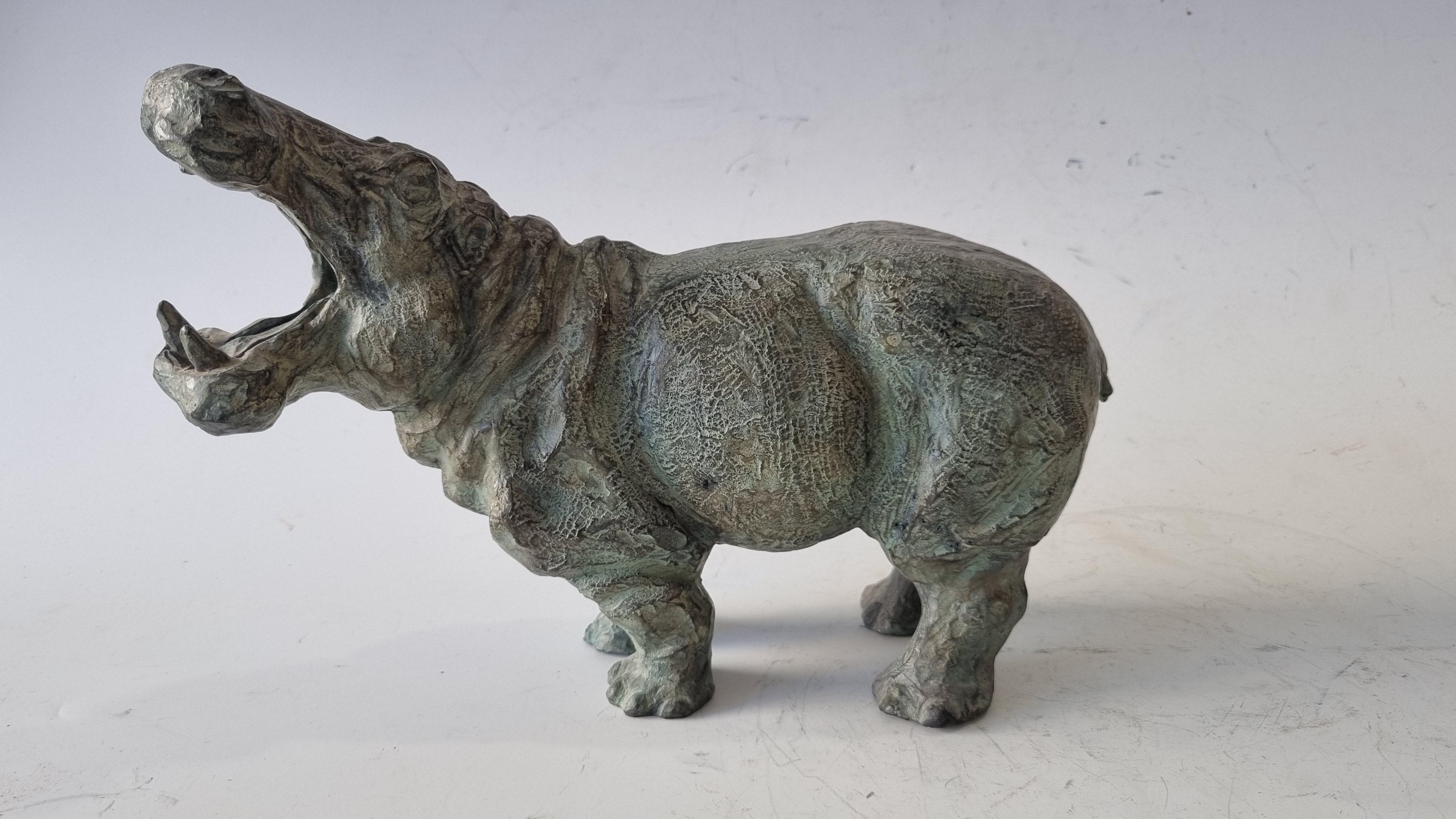  Yawning Hippopotamus Bronze EA IV/IV  - Realist Sculpture by SOPHIE MARTIN