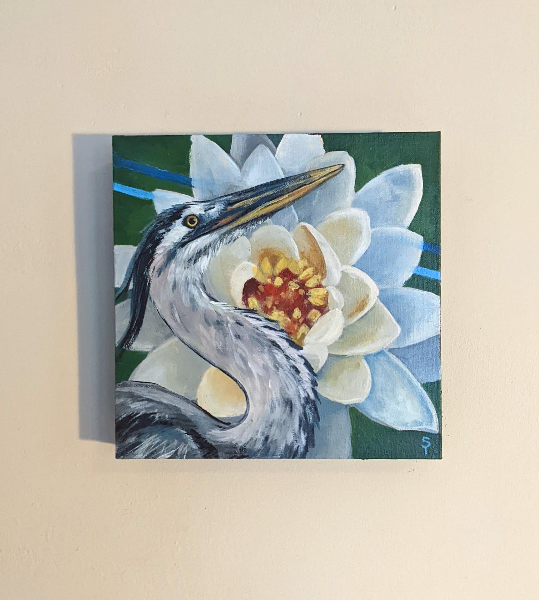 Lily - Painting by Sophy Tuttle