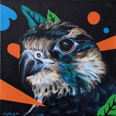 Peregrino