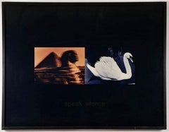 Fotografia a colori in grande scala Ektacolor C Stampa Arte Foto Tipografia Sorel Cohen