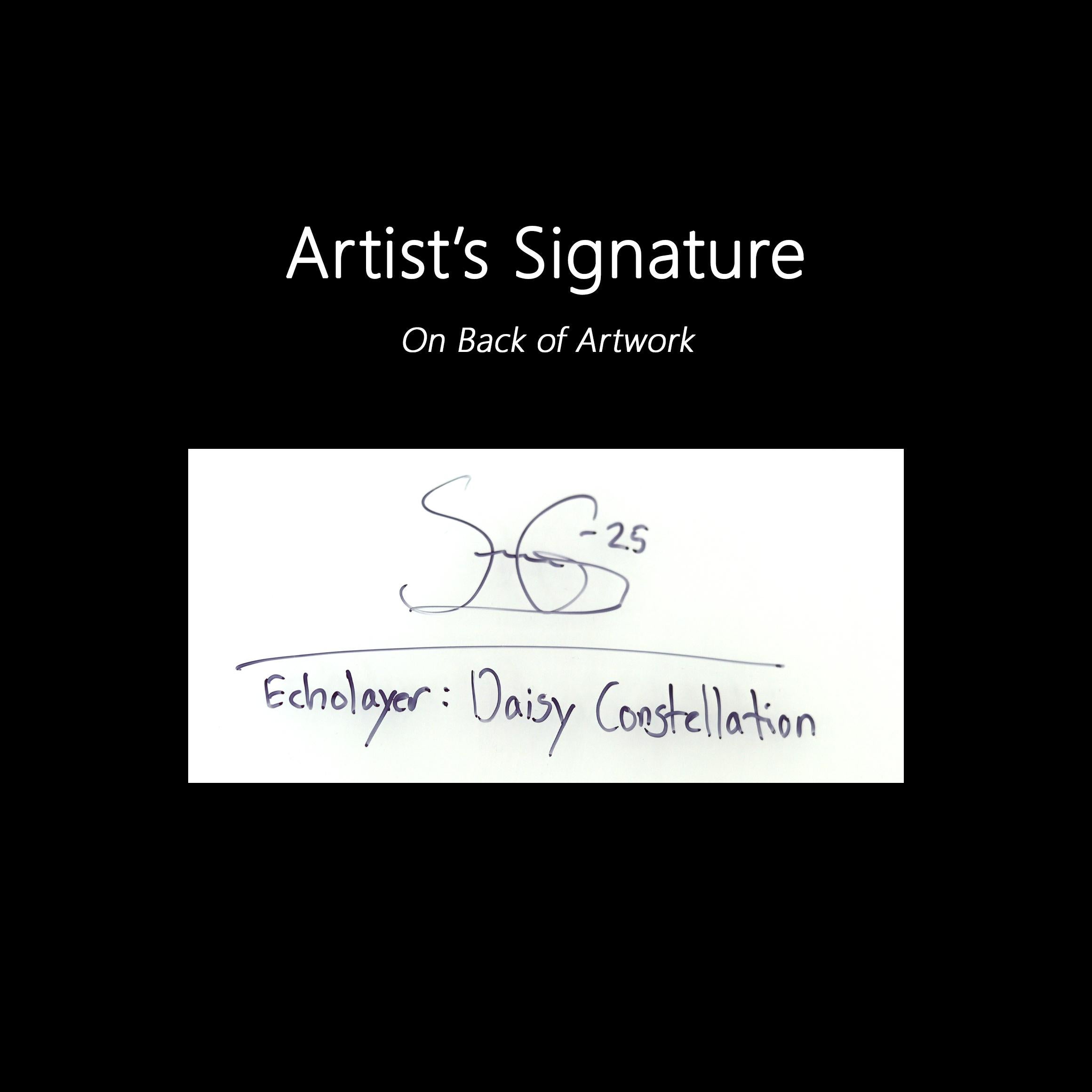 EcoCapa: Daisy Constellation - Arte Expresionista Abstracto Original en Capas en venta 5