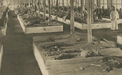 Sorting Tobacco in Lengths and Colors, Sumatra — Kleingrothe Photogravure c.1900