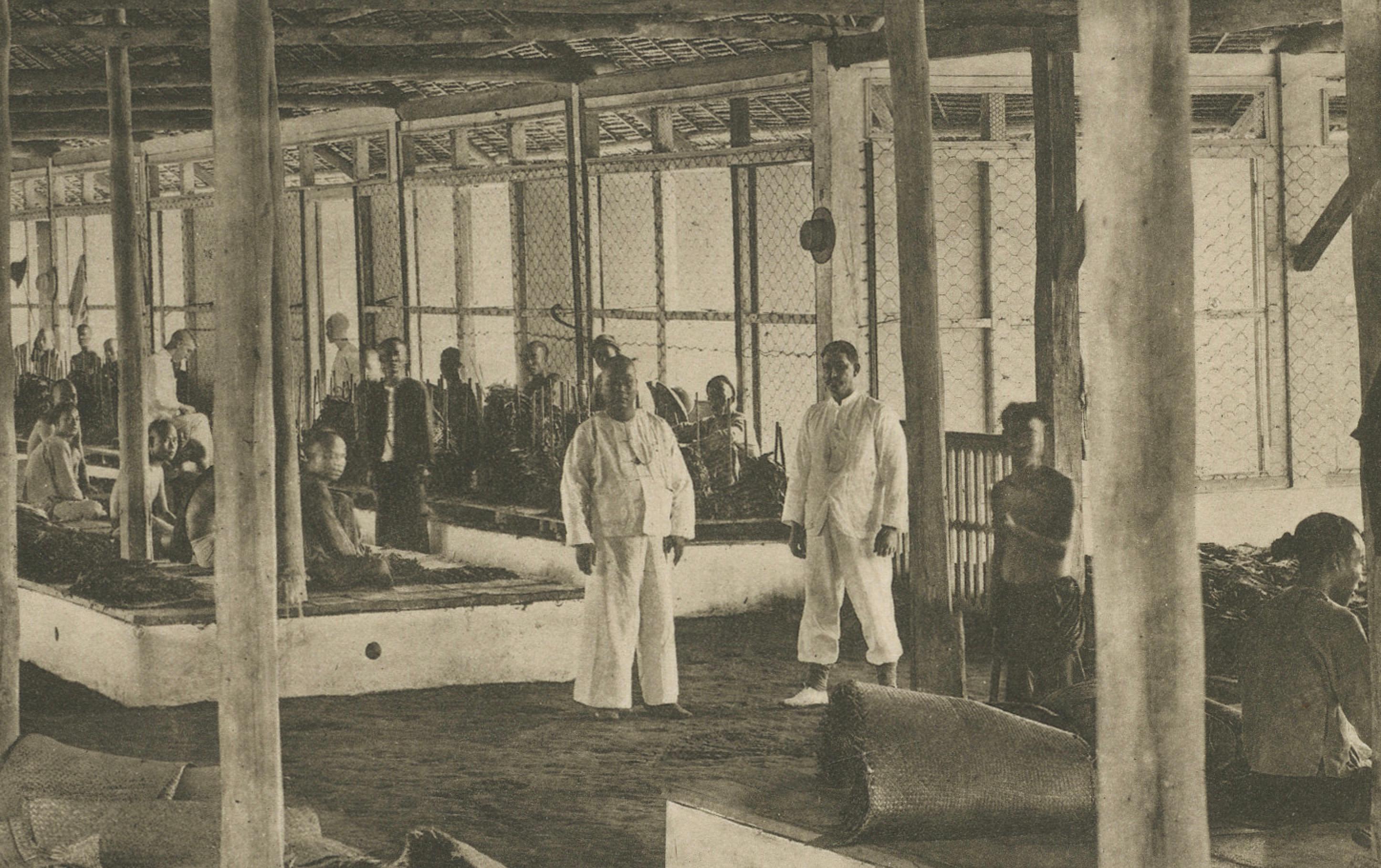 20ième siècle Triage du tabac en longueurs et en couleurs, Sumatra - Photogravure de Kleingrothe c.1900 en vente