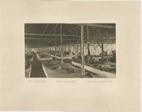 Sorting Tobacco in Lengths and Colors, Sumatra — Kleingrothe Photogravure c.1900